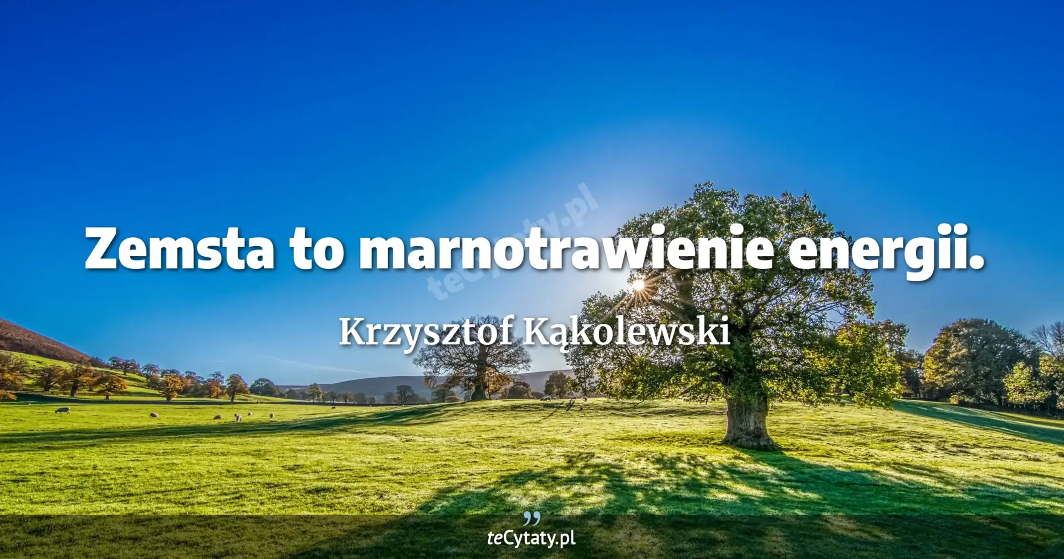 Zemsta to marnotrawienie energii. - Krzysztof Kąkolewski