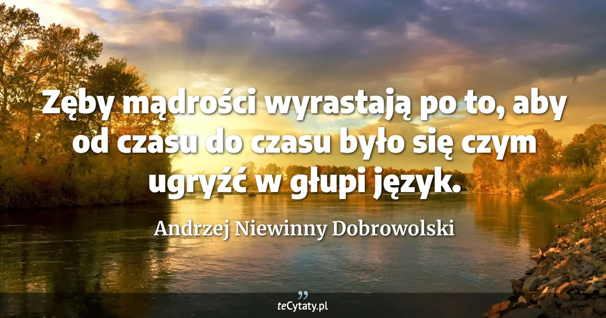 Zęby mądrości wyrastają po to, aby od czasu do czasu było się czym ugryźć w głupi język. - Andrzej Niewinny Dobrowolski