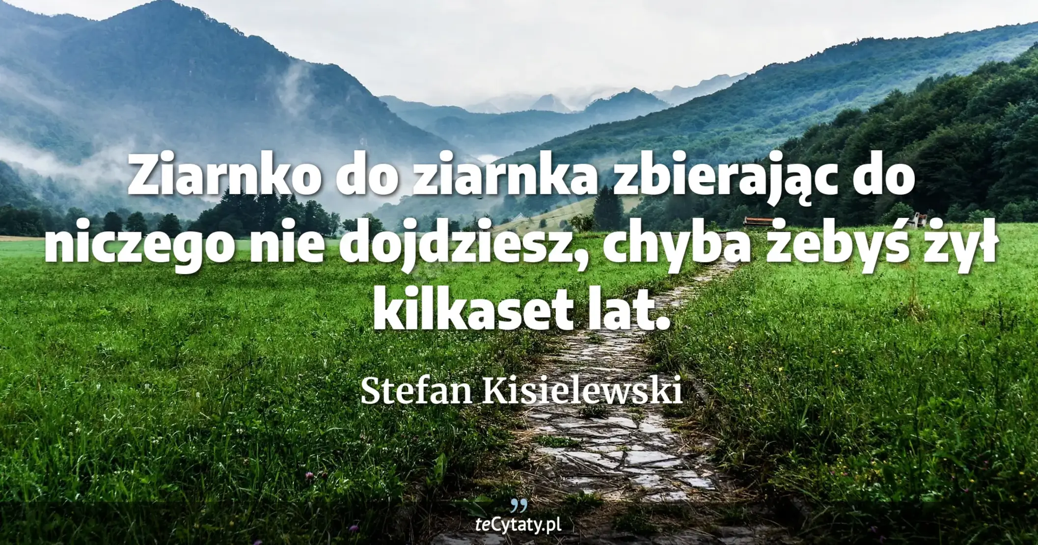 Ziarnko do ziarnka zbierając do niczego nie dojdziesz, chyba żebyś żył kilkaset lat. - Stefan Kisielewski