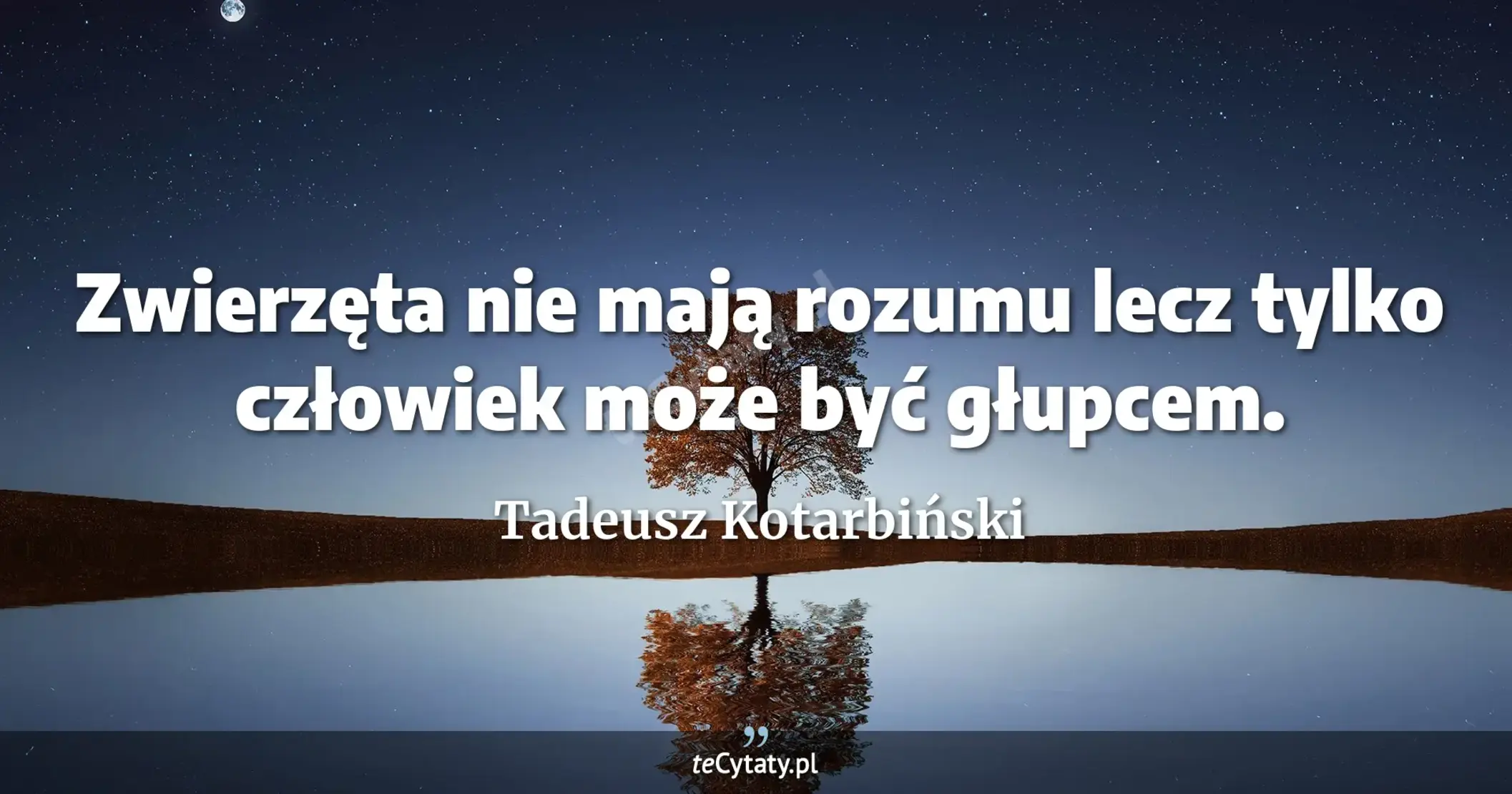 Zwierzęta nie mają rozumu lecz tylko człowiek może być głupcem. - Tadeusz Kotarbiński
