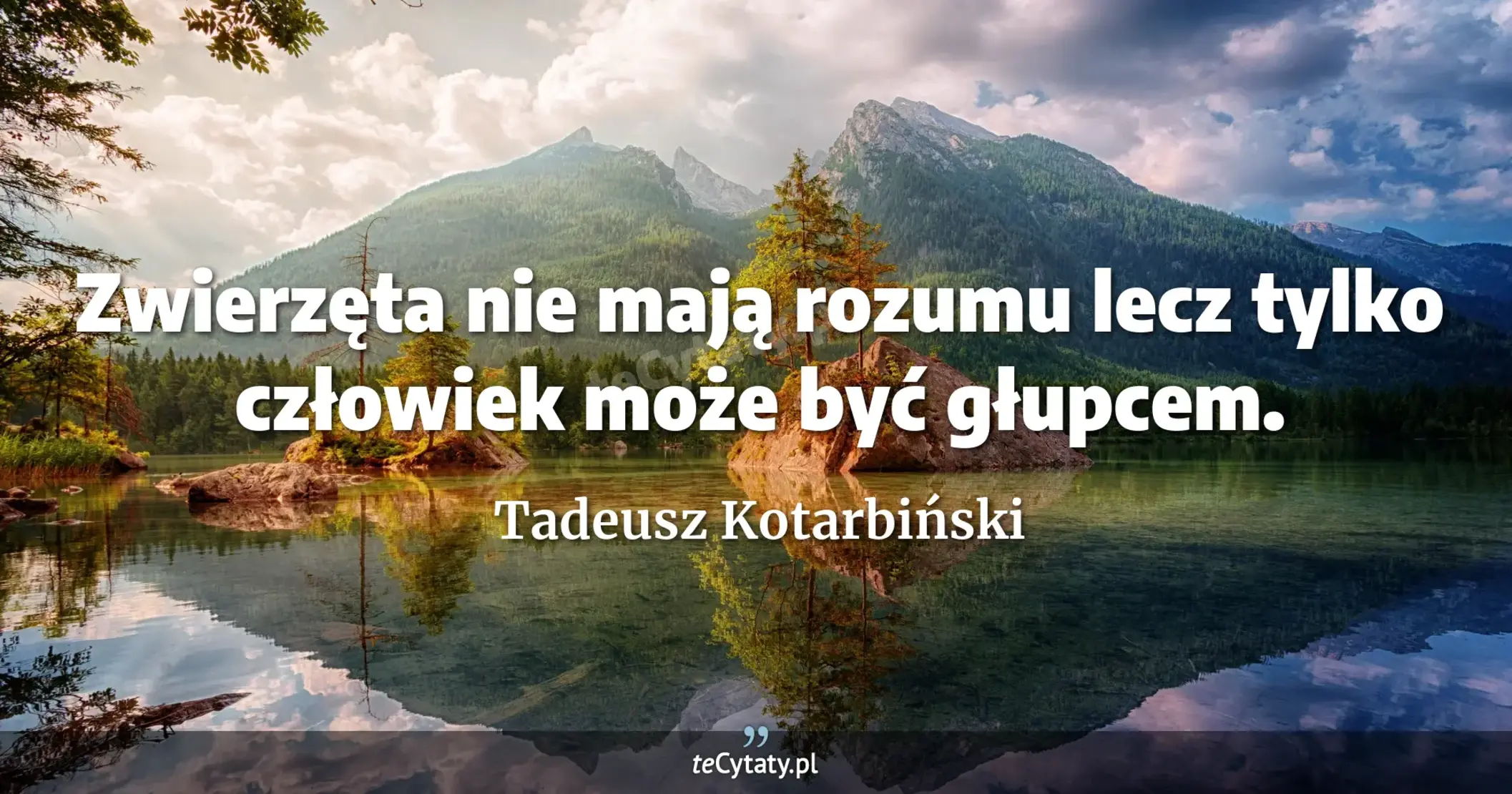 Zwierzęta nie mają rozumu lecz tylko człowiek może być głupcem. - Tadeusz Kotarbiński