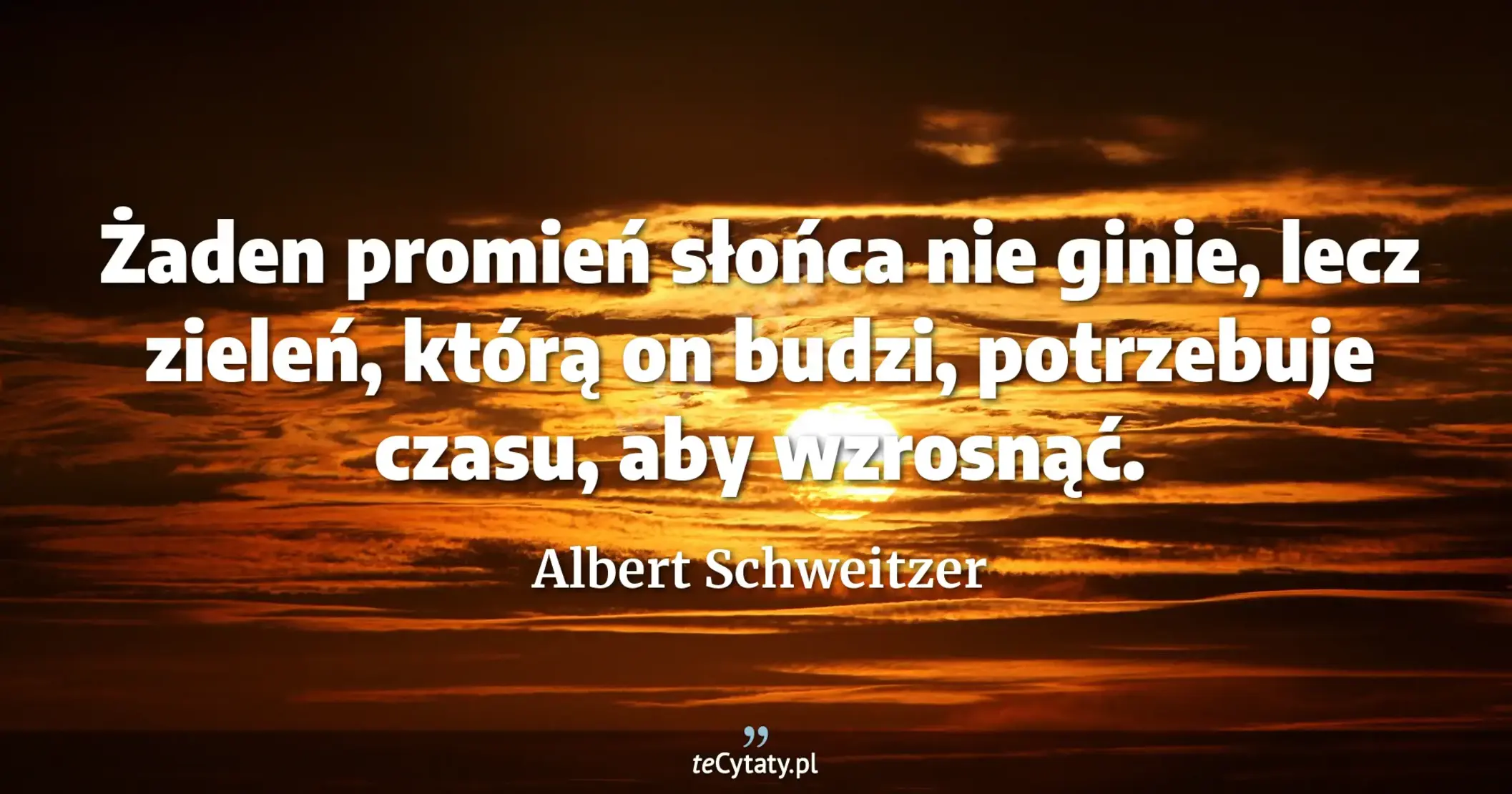Żaden promień słońca nie ginie, lecz zieleń, którą on budzi, potrzebuje czasu, aby wzrosnąć. - Albert Schweitzer