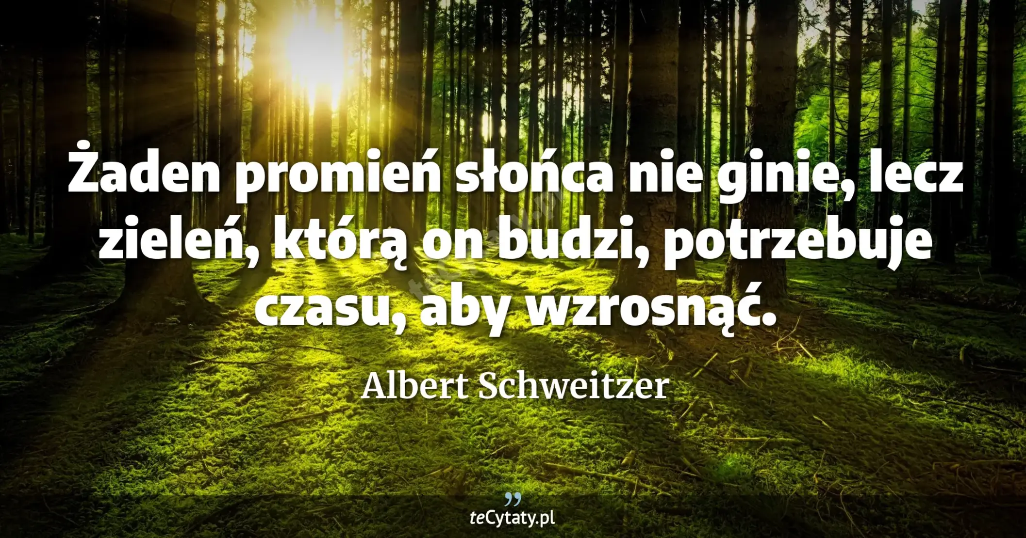 Żaden promień słońca nie ginie, lecz zieleń, którą on budzi, potrzebuje czasu, aby wzrosnąć. - Albert Schweitzer