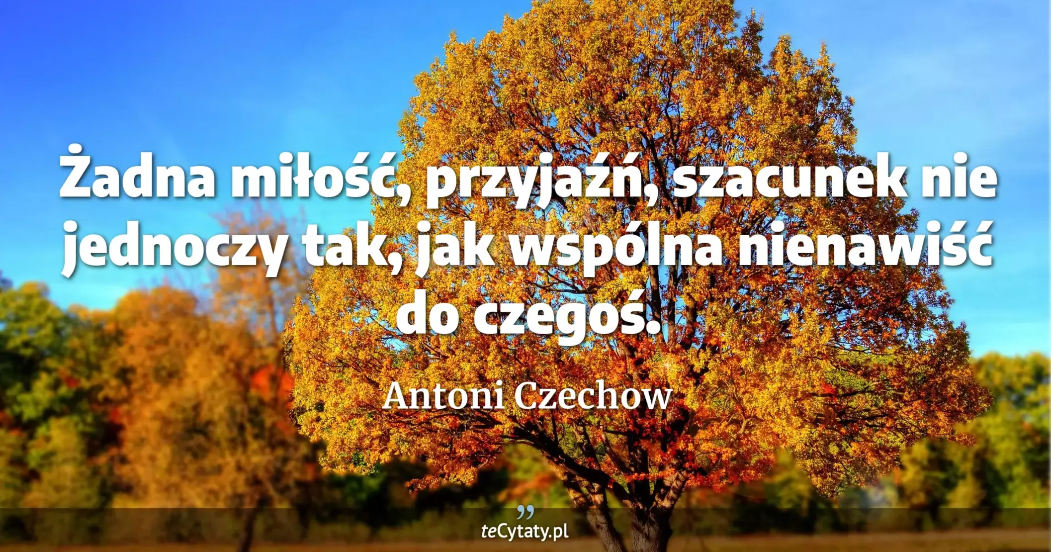 Żadna miłość, przyjaźń, szacunek nie jednoczy tak, jak wspólna nienawiść do czegoś. - Antoni Czechow