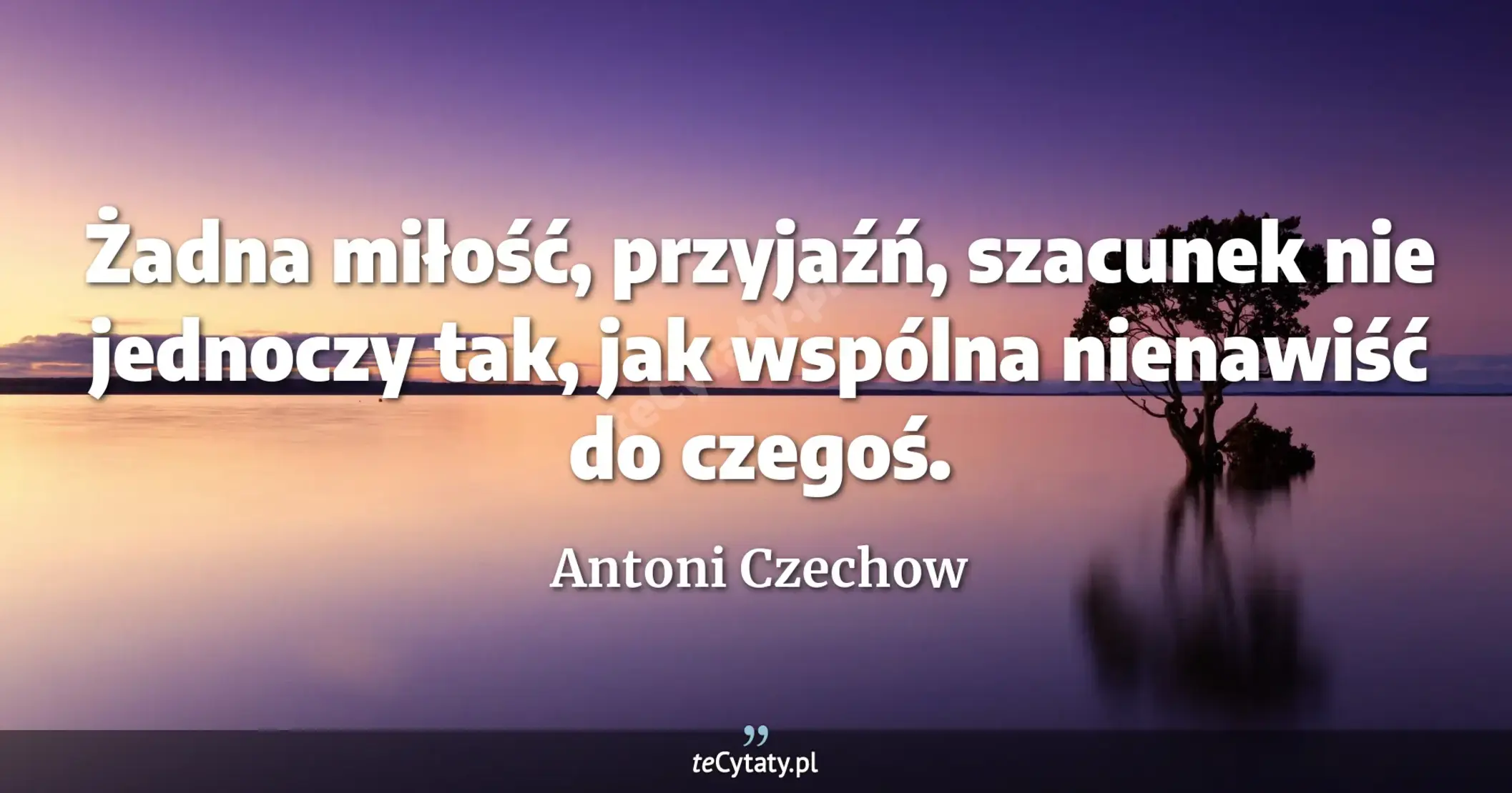 Żadna miłość, przyjaźń, szacunek nie jednoczy tak, jak wspólna nienawiść do czegoś. - Antoni Czechow
