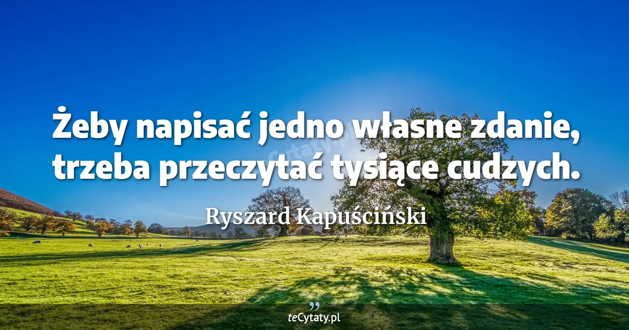 Żeby napisać jedno własne zdanie, trzeba przeczytać tysiące cudzych. - Ryszard Kapuściński