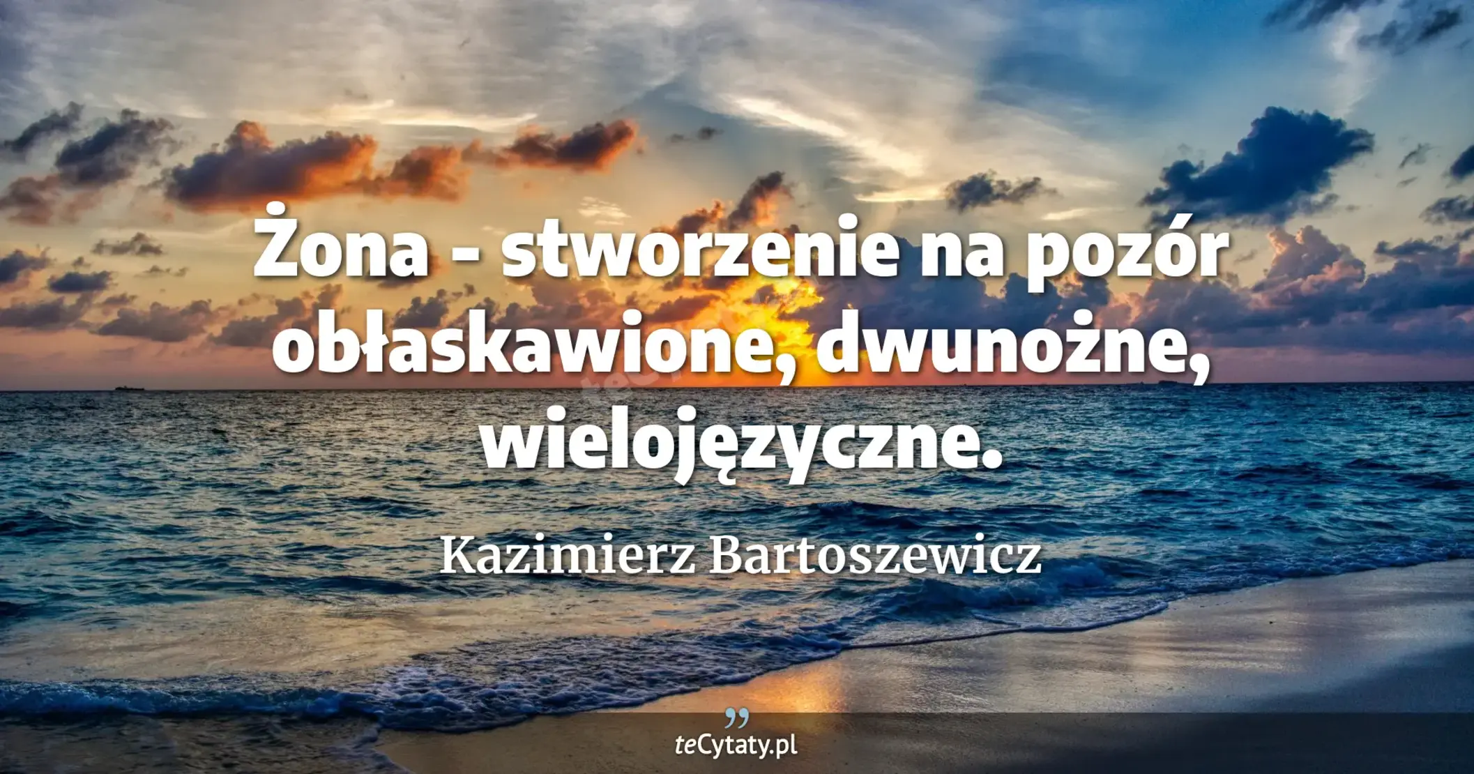 Żona - stworzenie na pozór obłaskawione, dwunożne, wielojęzyczne. - Kazimierz Bartoszewicz