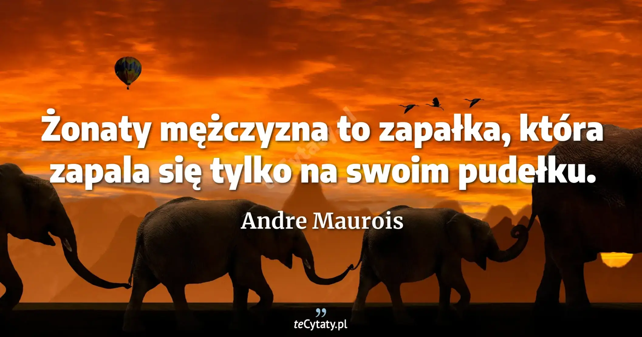 Żonaty mężczyzna to zapałka, która zapala się tylko na swoim pudełku. - Andre Maurois