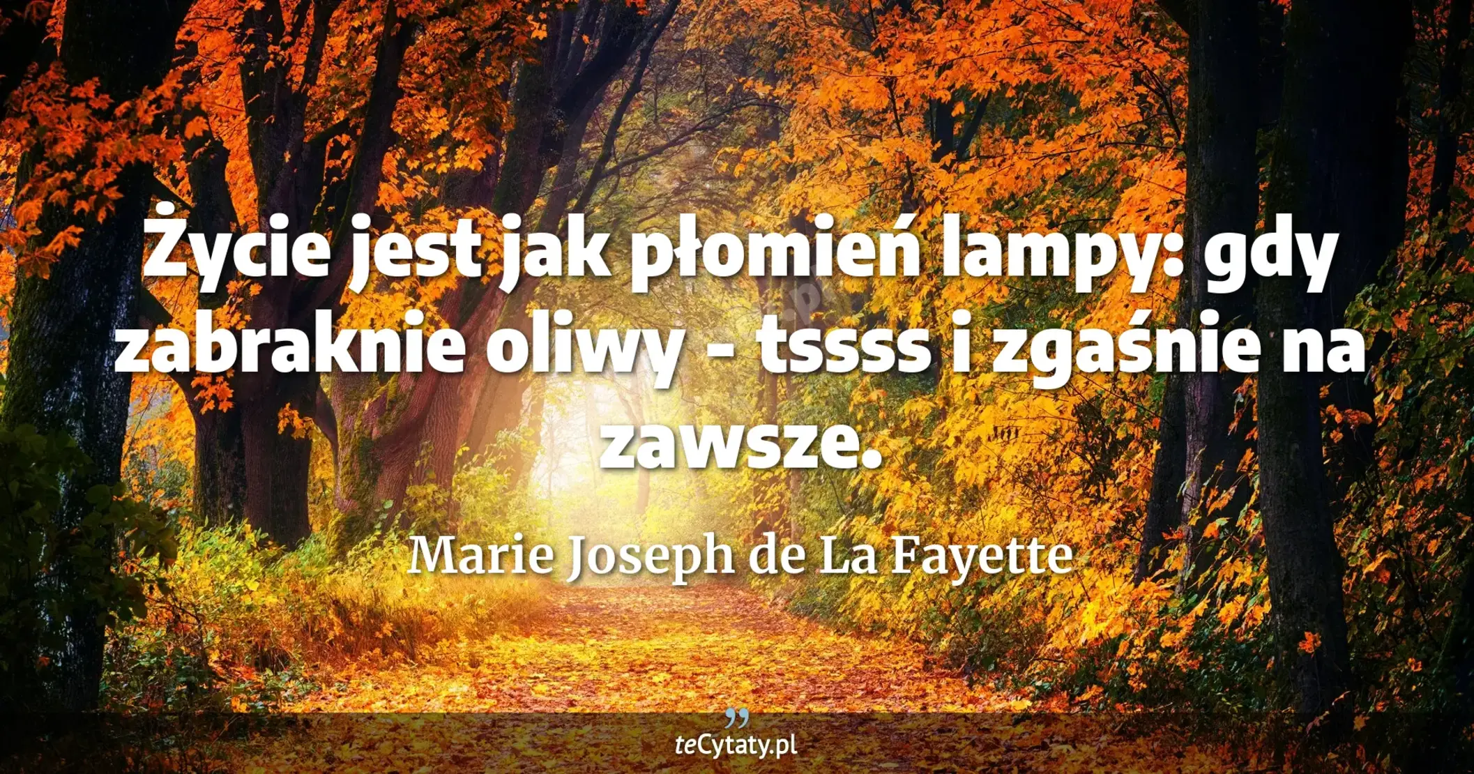 Życie jest jak płomień lampy: gdy zabraknie oliwy - tssss i zgaśnie na zawsze. - Marie Joseph de La Fayette