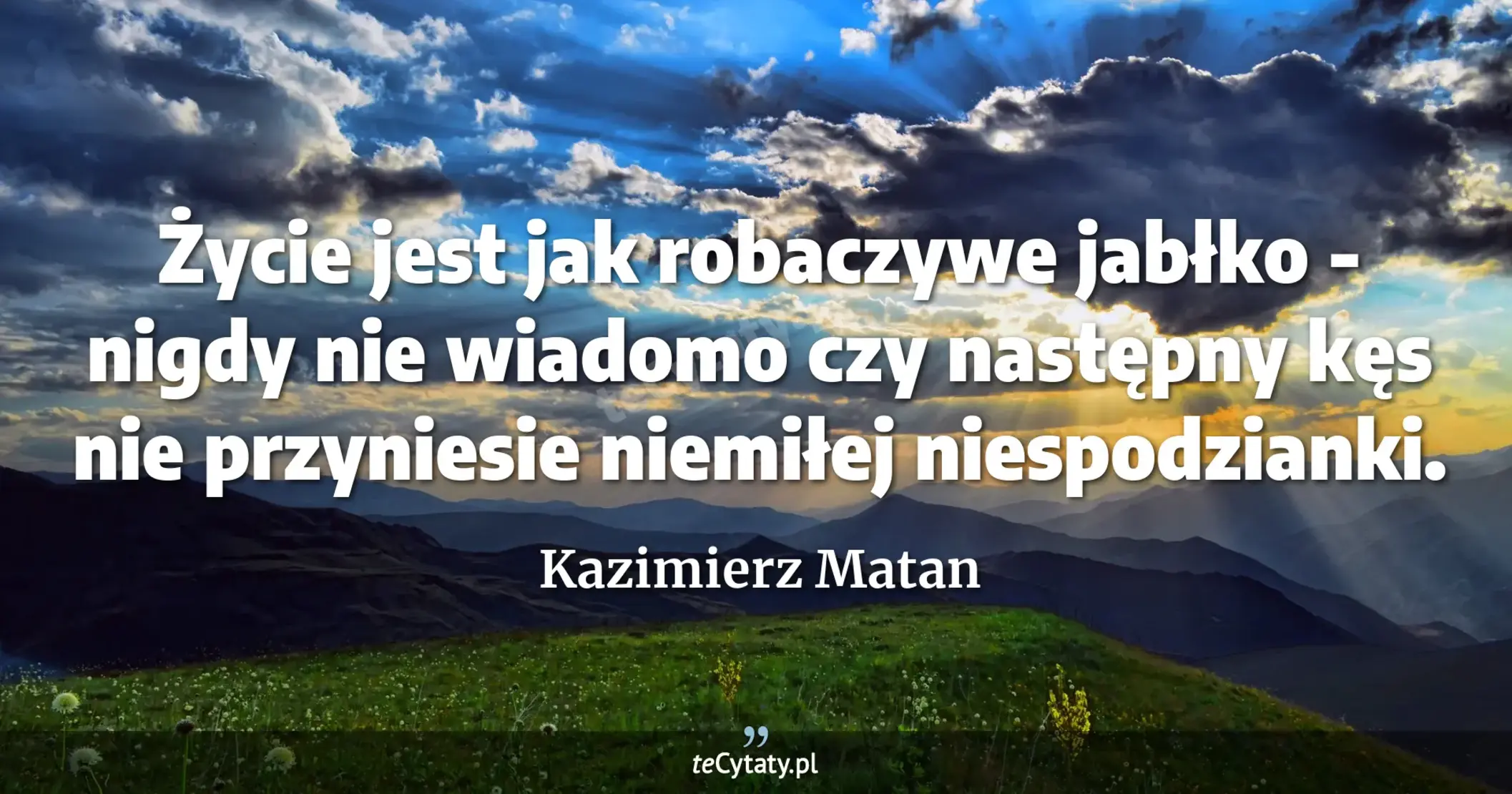 Życie jest jak robaczywe jabłko - nigdy nie wiadomo czy następny kęs nie przyniesie niemiłej niespodzianki. - Kazimierz Matan