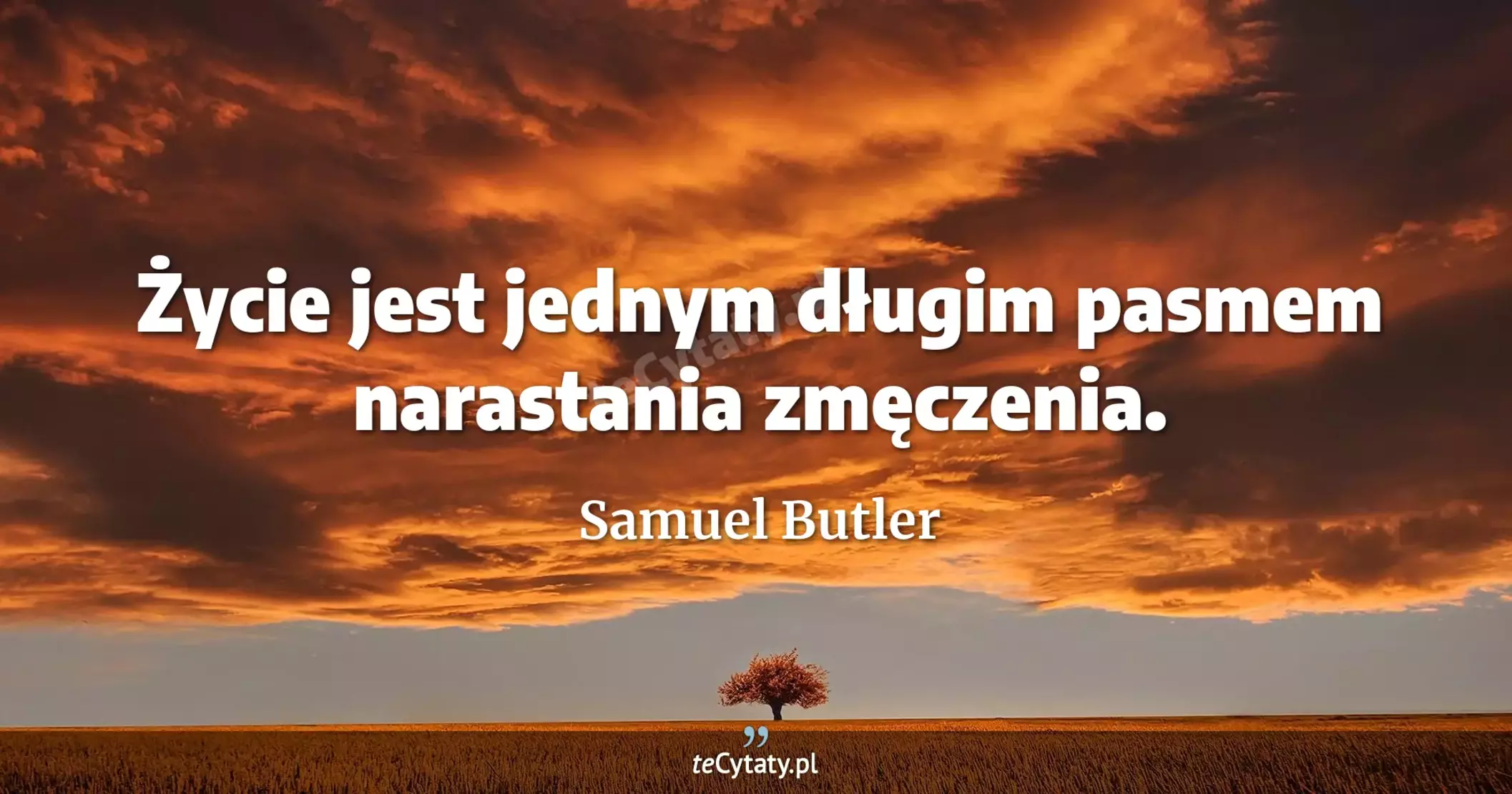 Życie jest jednym długim pasmem narastania zmęczenia. - Samuel Butler