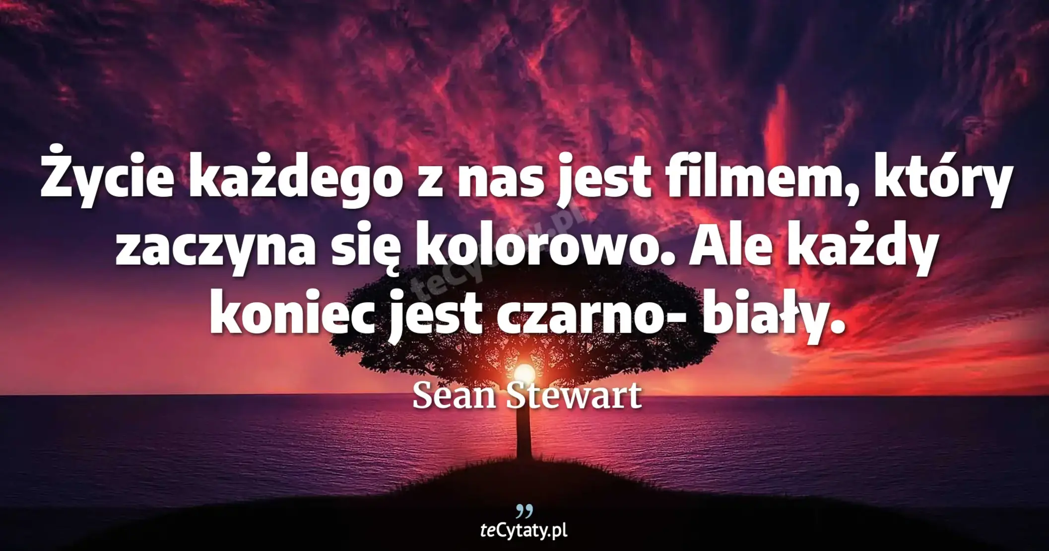 Życie każdego z nas jest filmem, który zaczyna się kolorowo. Ale każdy koniec jest czarno- biały. - Sean Stewart