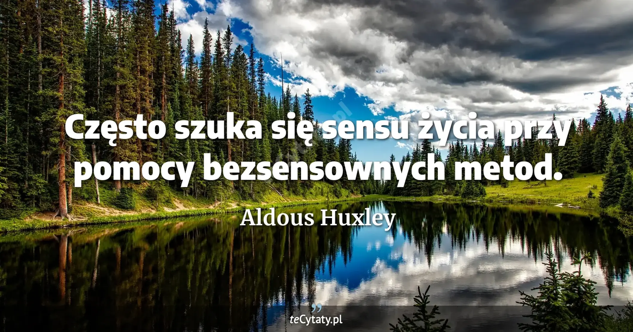 Często szuka się sensu życia przy pomocy bezsensownych metod. - Aldous Huxley