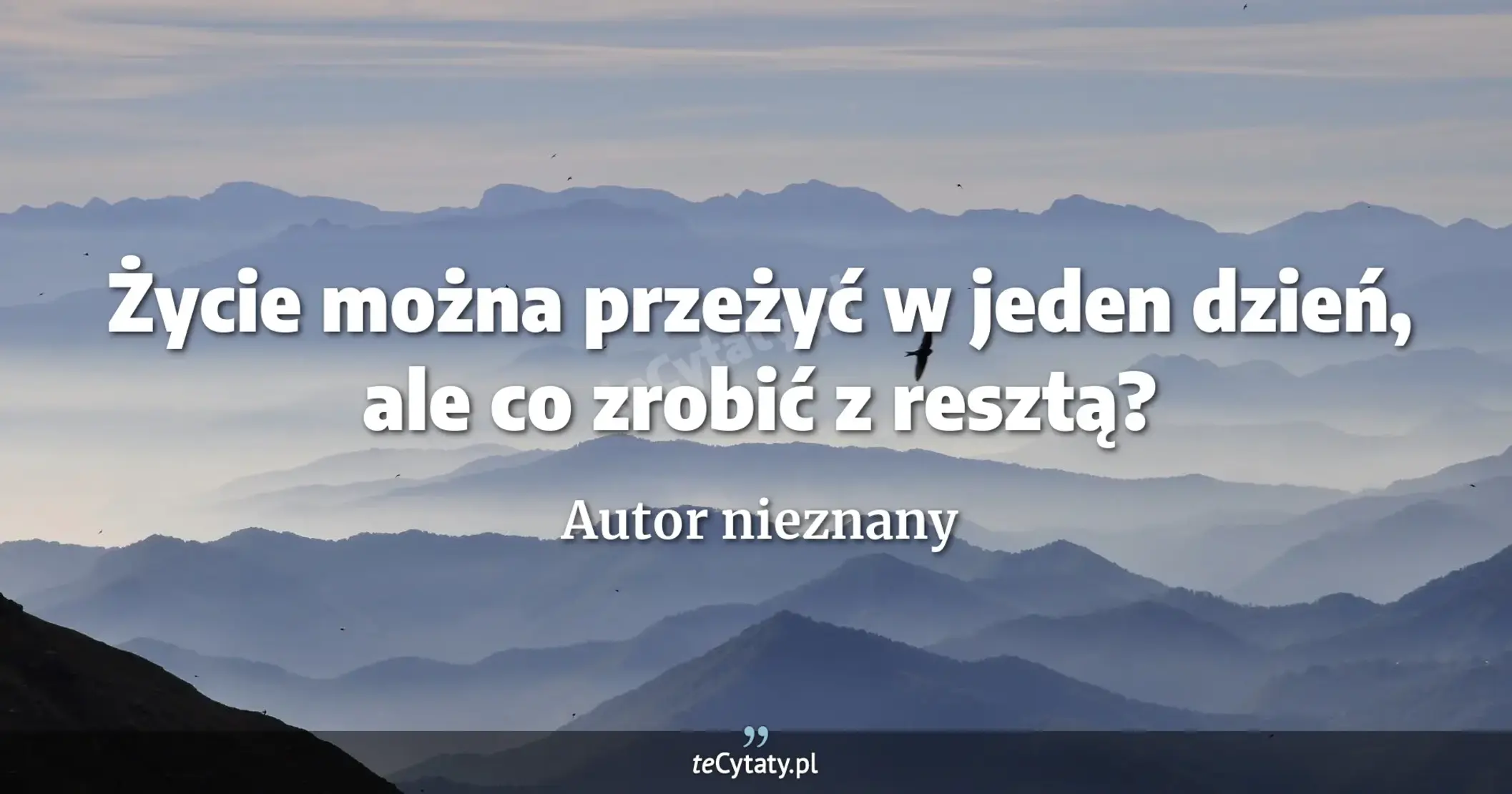 Życie można przeżyć w jeden dzień, ale co zrobić z resztą? - Autor nieznany