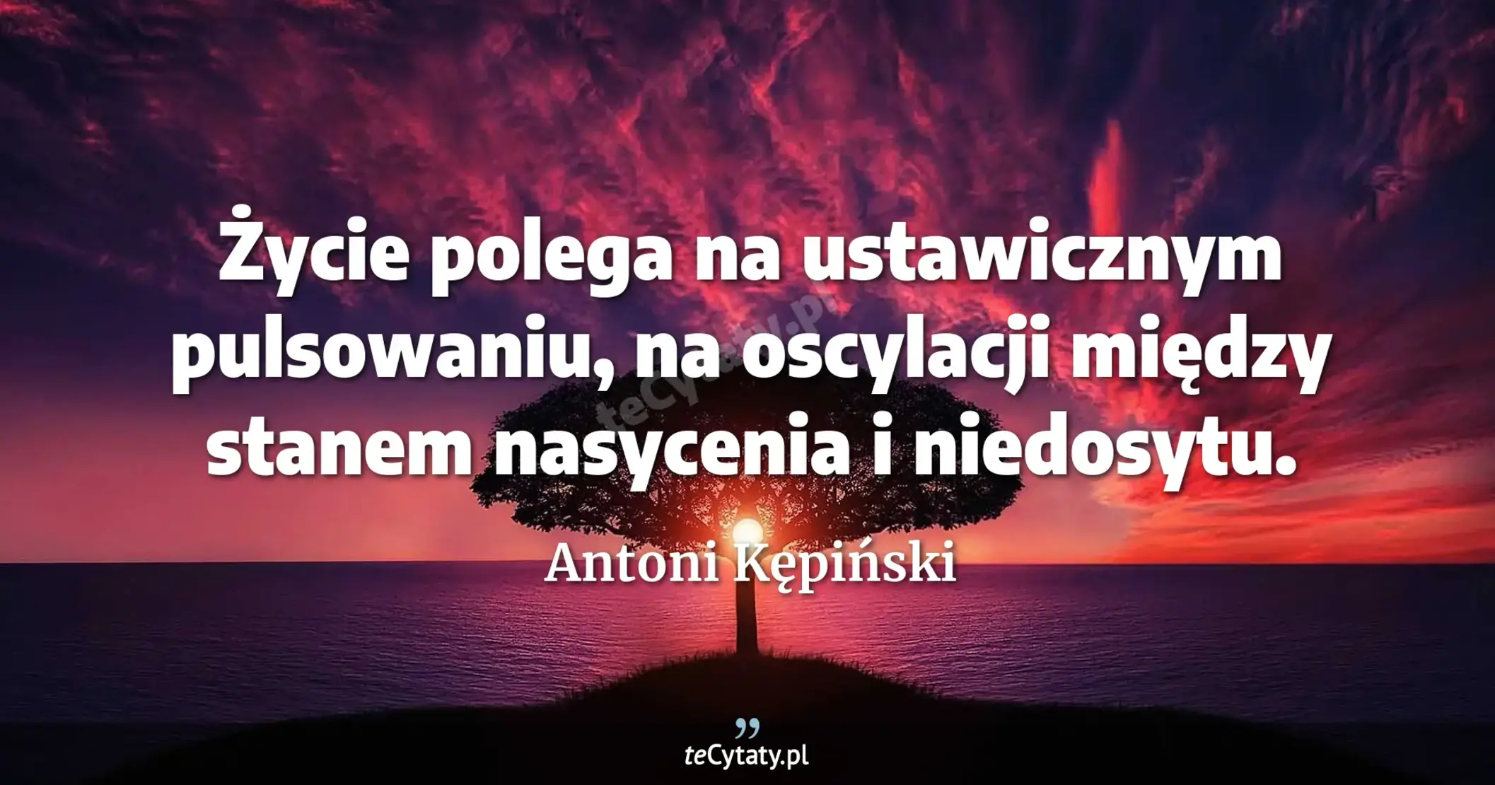 Życie polega na ustawicznym pulsowaniu, na oscylacji między stanem nasycenia i niedosytu. - Antoni Kępiński