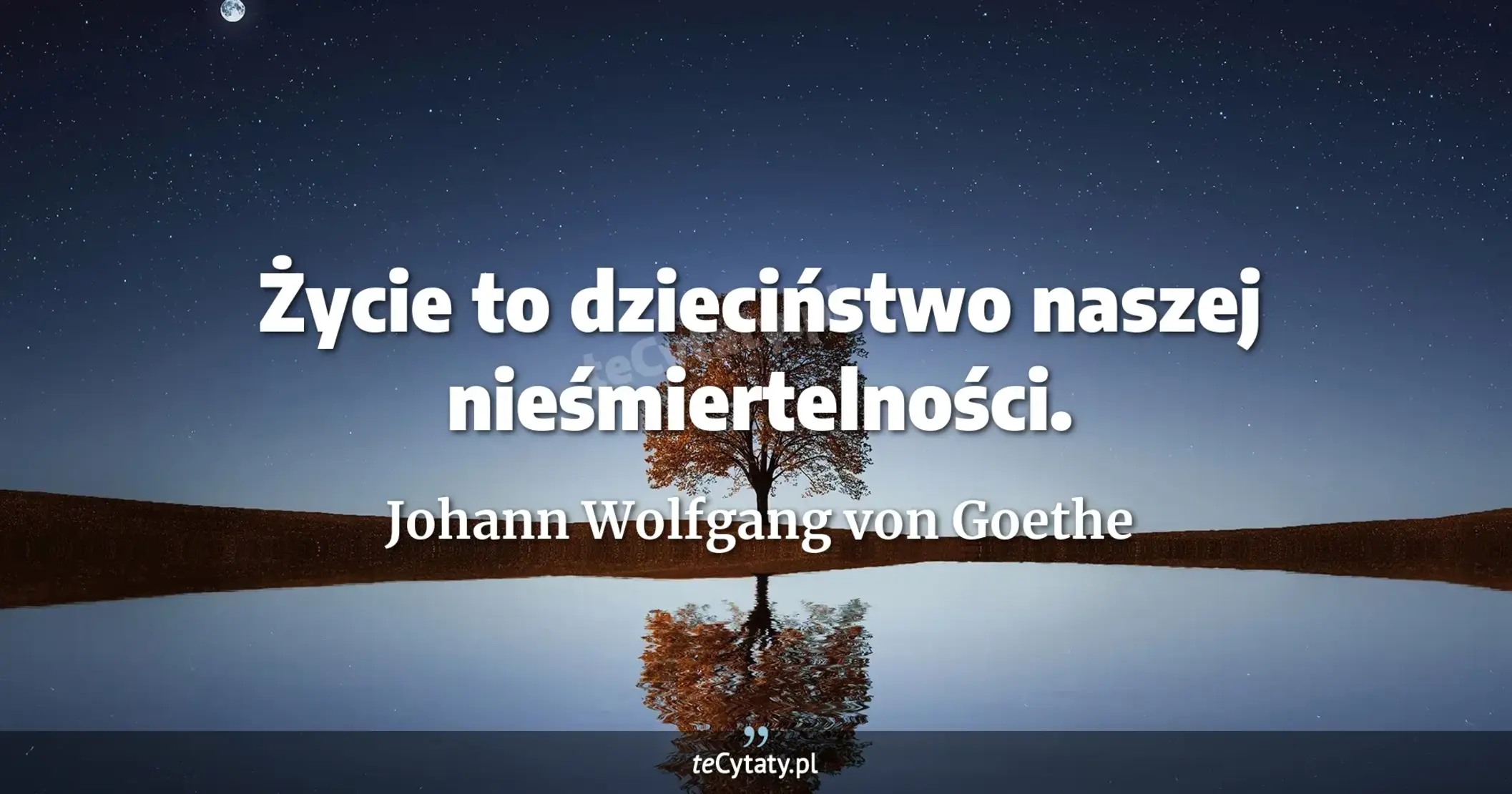 Życie to dzieciństwo naszej nieśmiertelności. - Johann Wolfgang von Goethe
