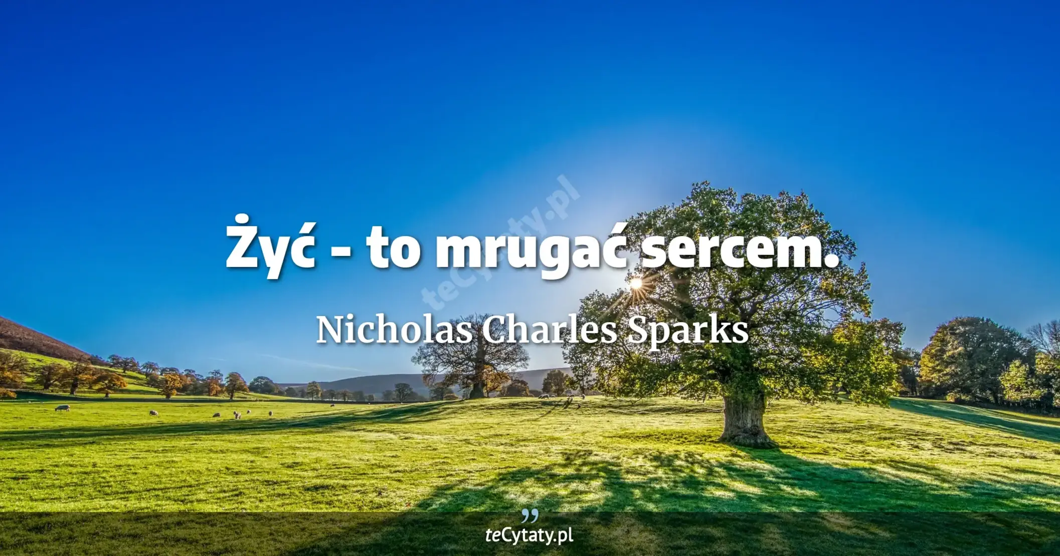 Żyć - to mrugać sercem. - Nicholas Charles Sparks