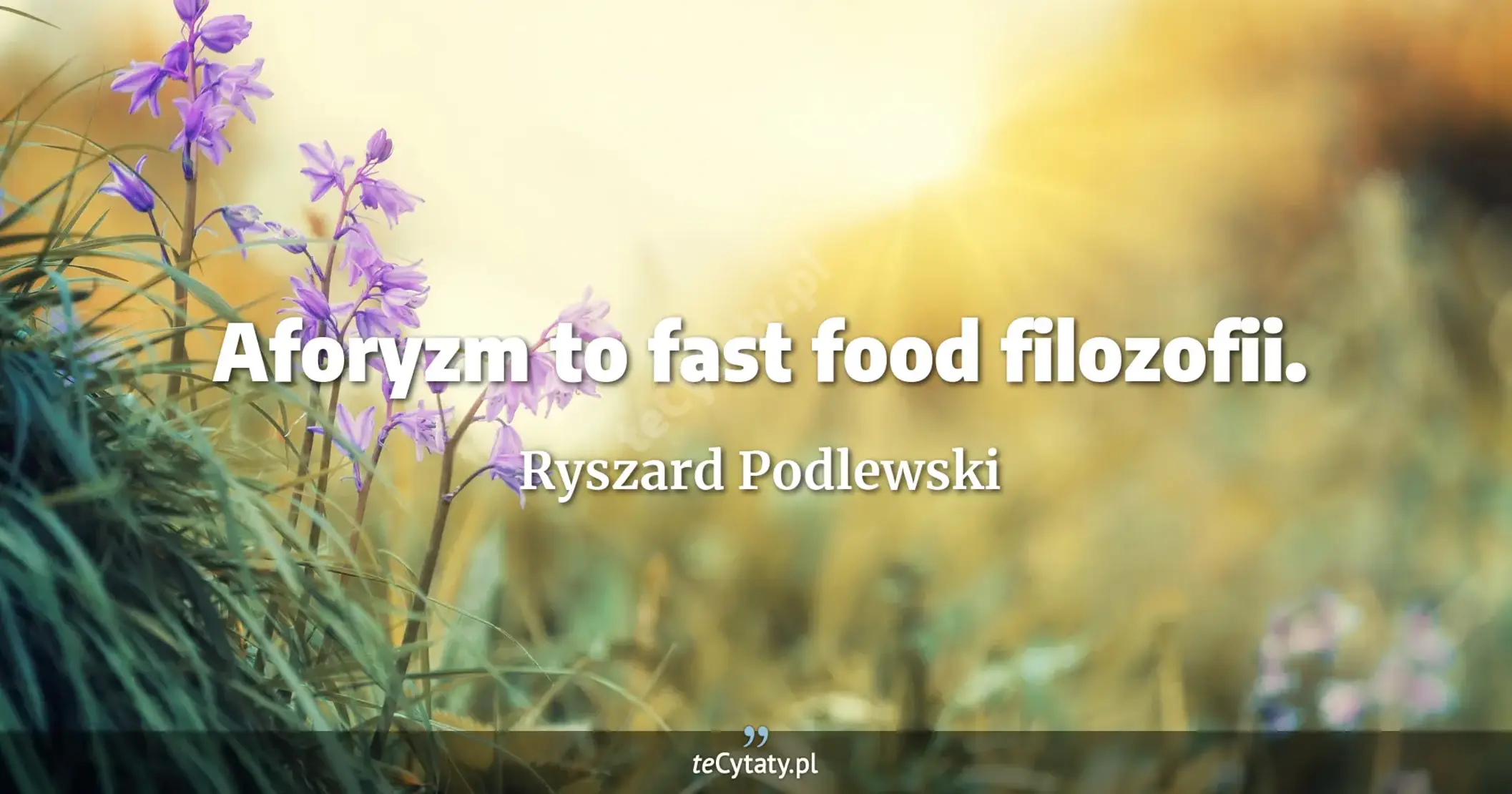 Aforyzm to fast food filozofii. - Ryszard Podlewski