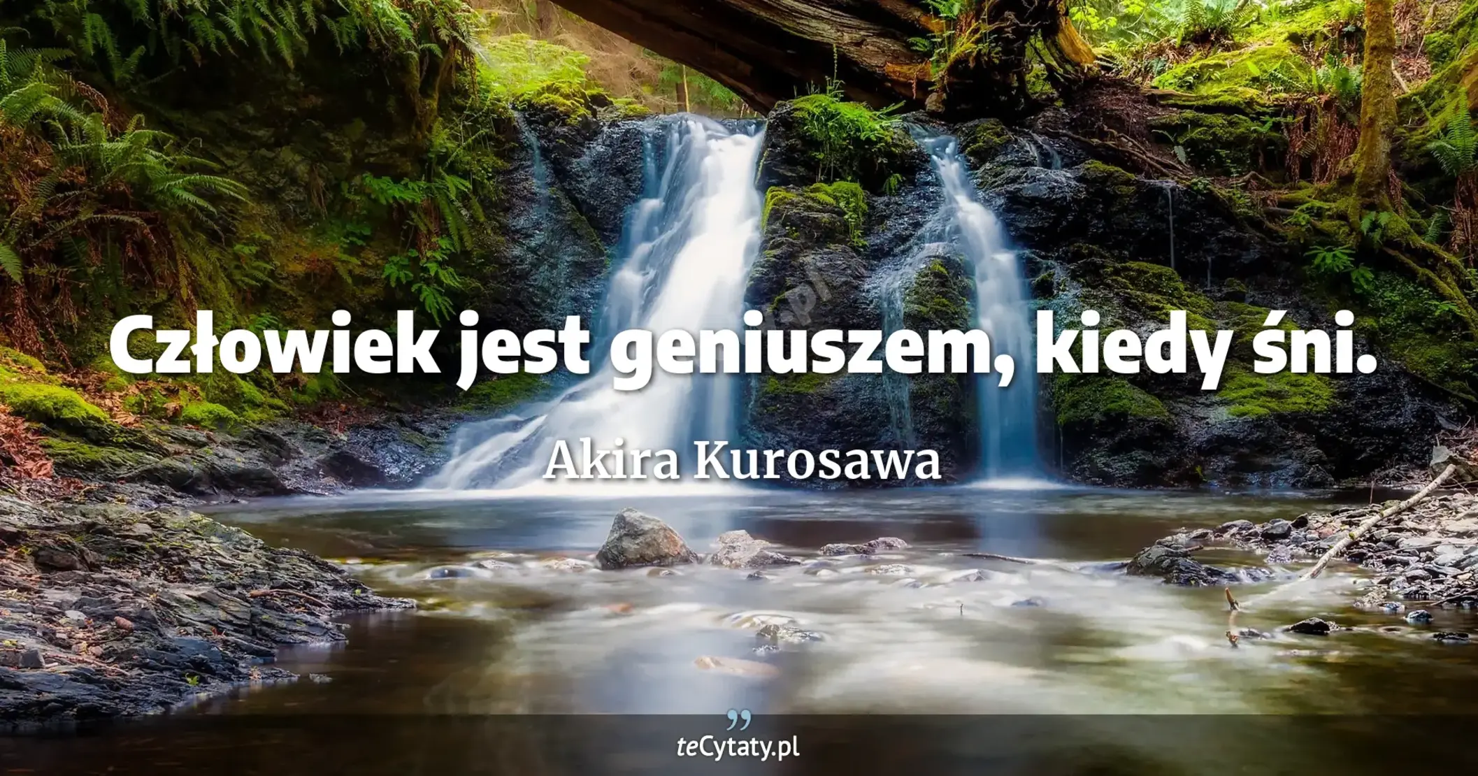 Człowiek jest geniuszem, kiedy śni. - Akira Kurosawa