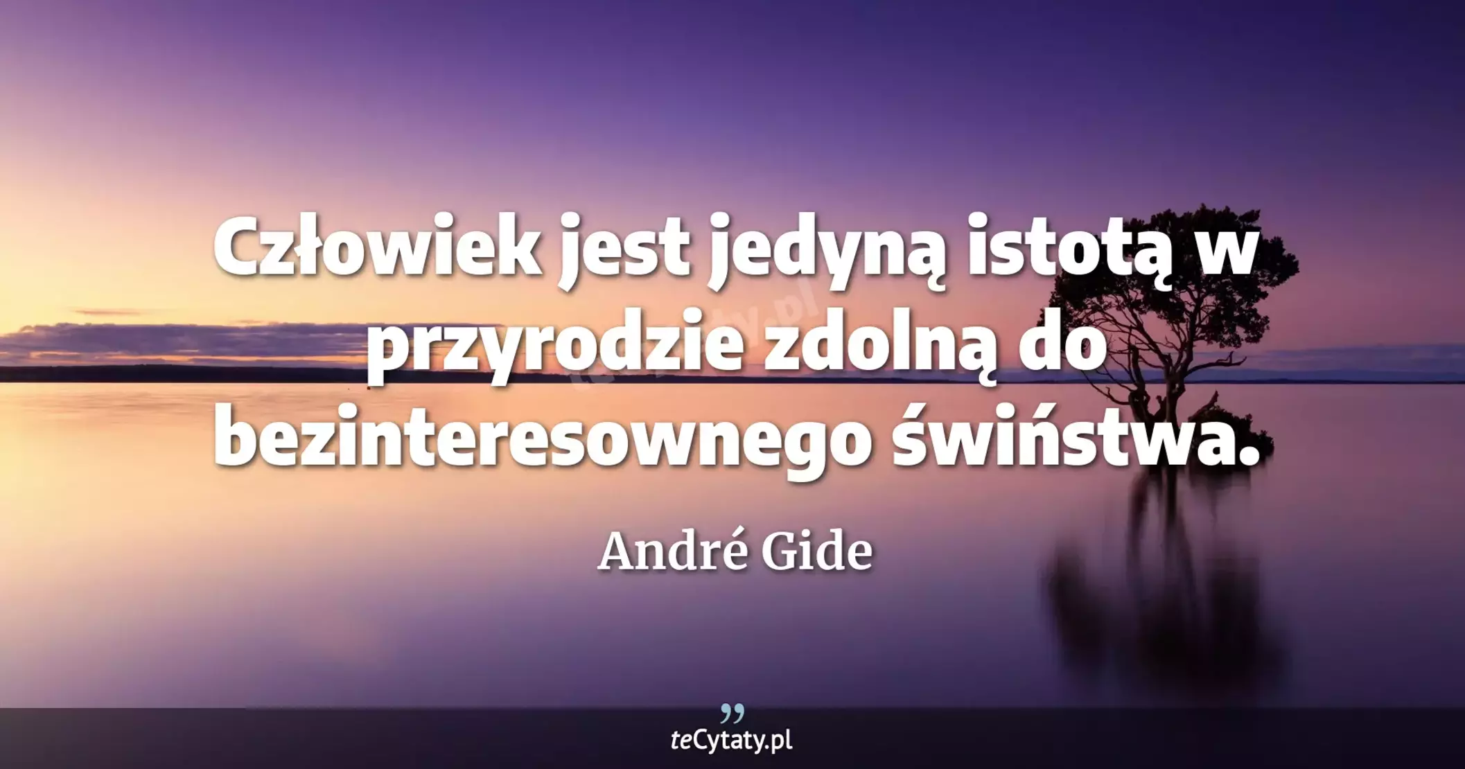 Człowiek jest jedyną istotą w przyrodzie zdolną do bezinteresownego świństwa. - André Gide