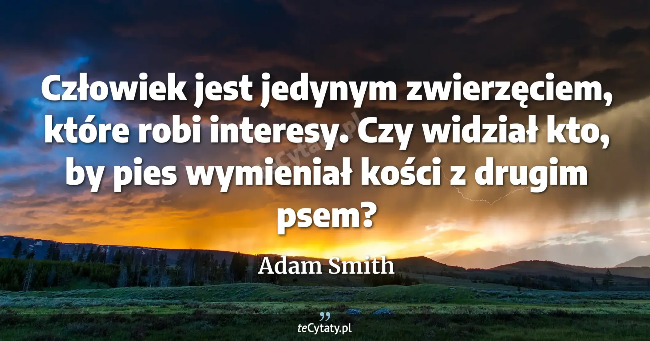 Człowiek jest jedynym zwierzęciem, które robi interesy. Czy widział kto, by pies wymieniał kości z drugim psem? - Adam Smith