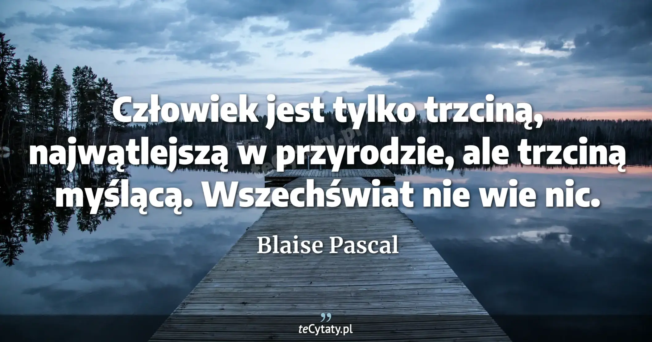 Człowiek jest tylko trzciną, najwątlejszą w przyrodzie, ale trzciną myślącą. Wszechświat nie wie nic. - Blaise Pascal