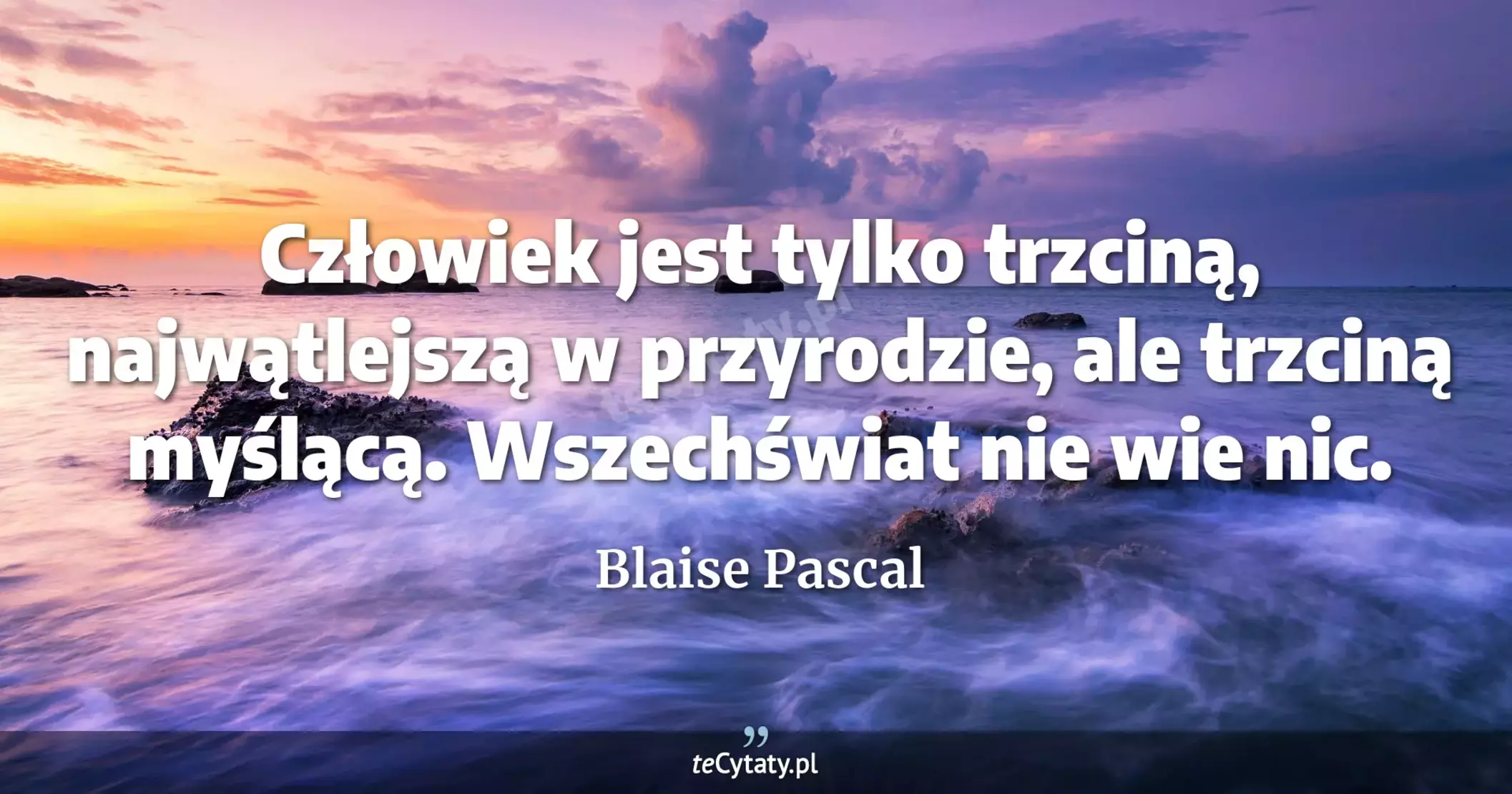 Człowiek jest tylko trzciną, najwątlejszą w przyrodzie, ale trzciną myślącą. Wszechświat nie wie nic. - Blaise Pascal