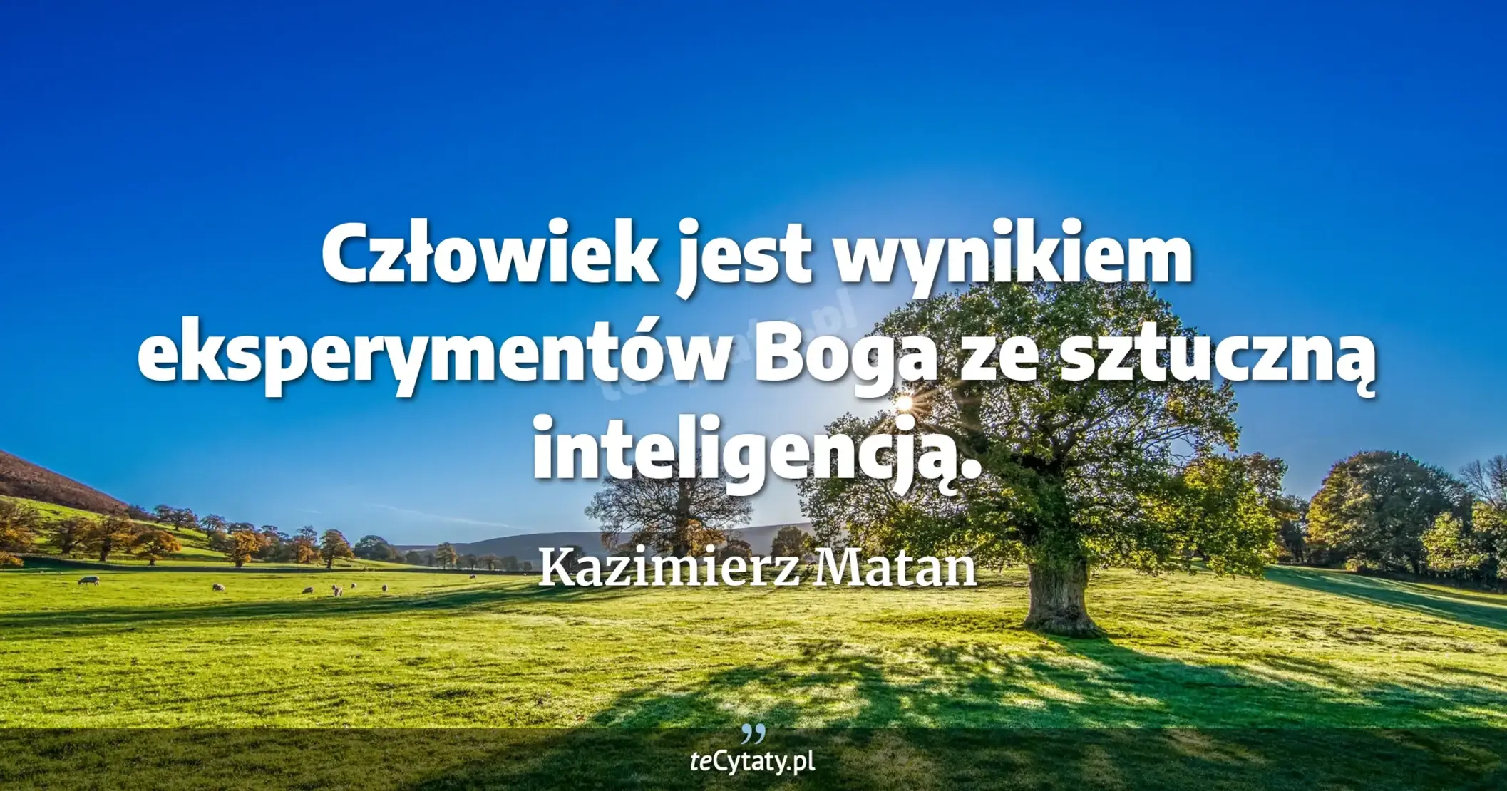 Człowiek jest wynikiem eksperymentów Boga ze sztuczną inteligencją. - Kazimierz Matan