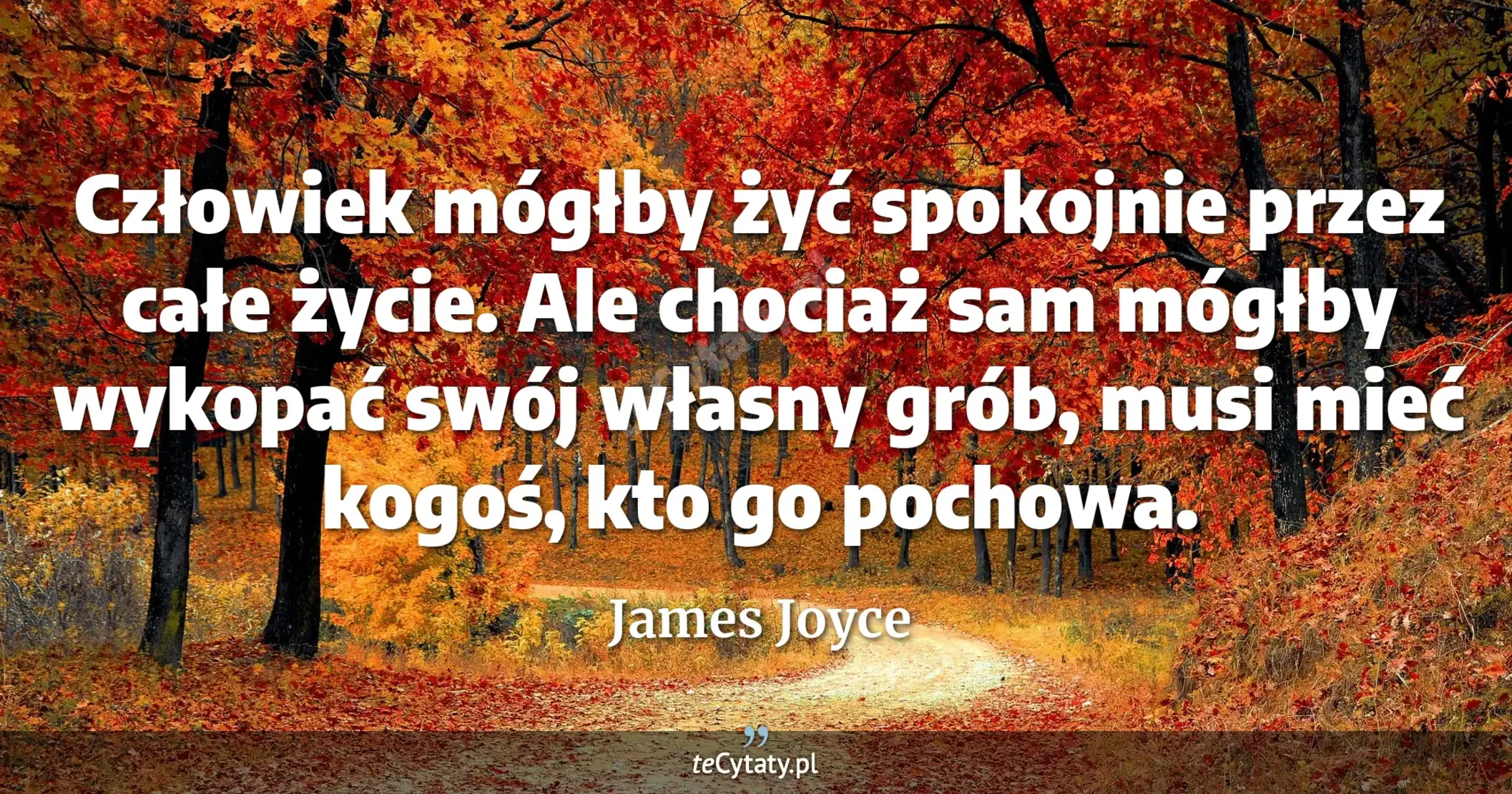 Człowiek mógłby żyć spokojnie przez całe życie. Ale chociaż sam mógłby wykopać swój własny grób, musi mieć kogoś, kto go pochowa. - James Joyce