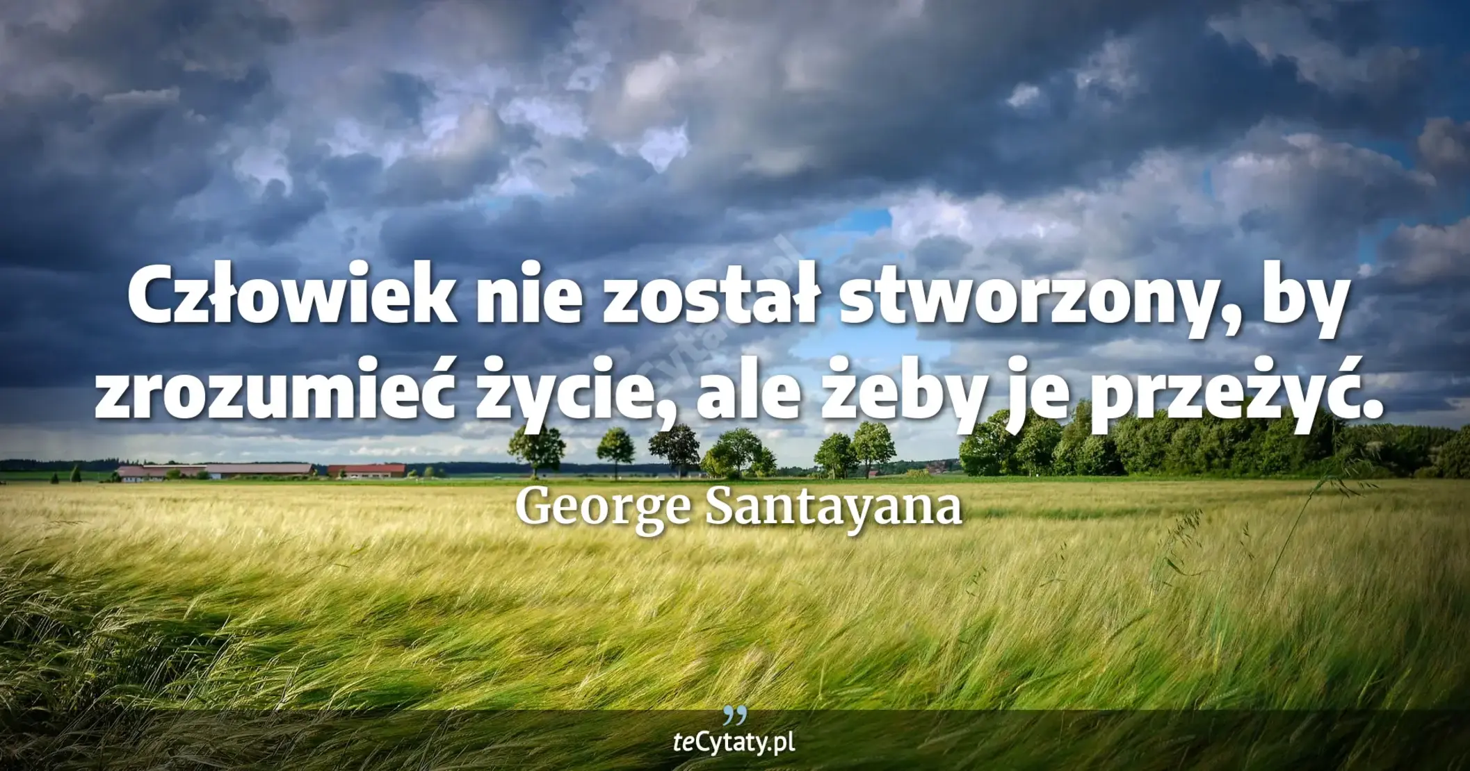 Człowiek nie został stworzony, by zrozumieć życie, ale żeby je przeżyć. - George Santayana