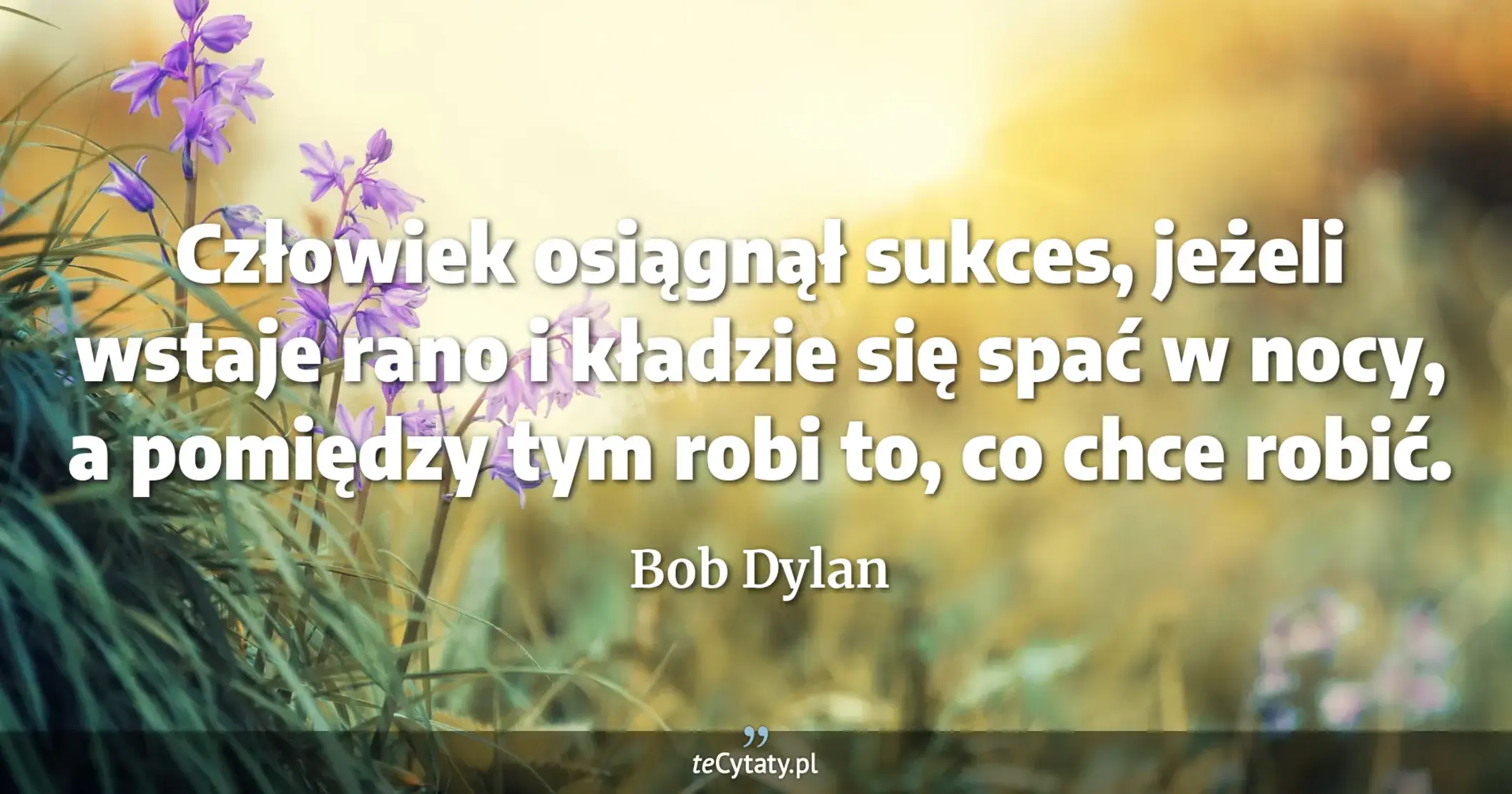 Człowiek osiągnął sukces, jeżeli wstaje rano i kładzie się spać w nocy, a pomiędzy tym robi to, co chce robić. - Bob Dylan