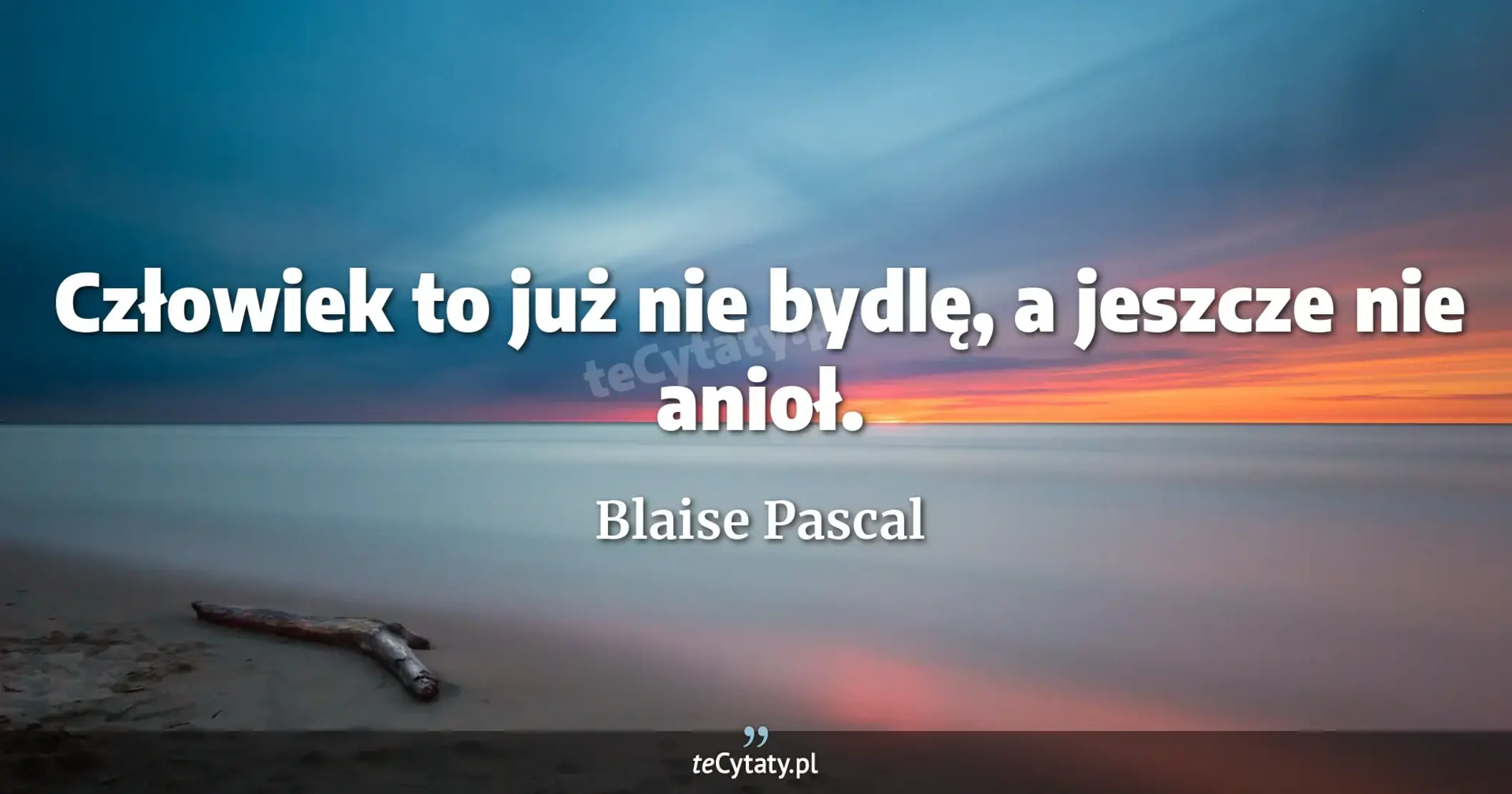 Człowiek to już nie bydlę, a jeszcze nie anioł. - Blaise Pascal