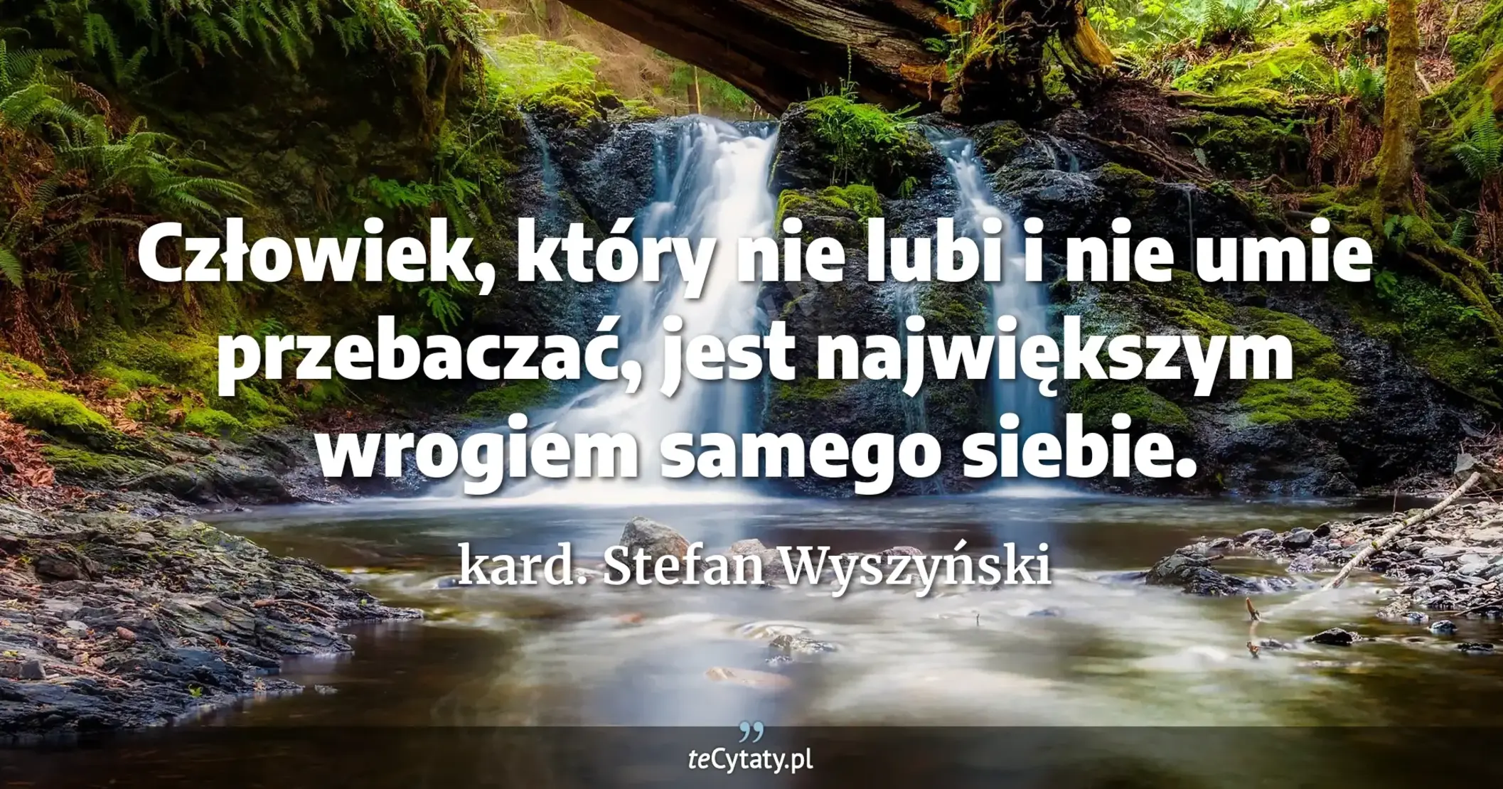 Człowiek, który nie lubi i nie umie przebaczać, jest największym wrogiem samego siebie. - kard. Stefan Wyszyński