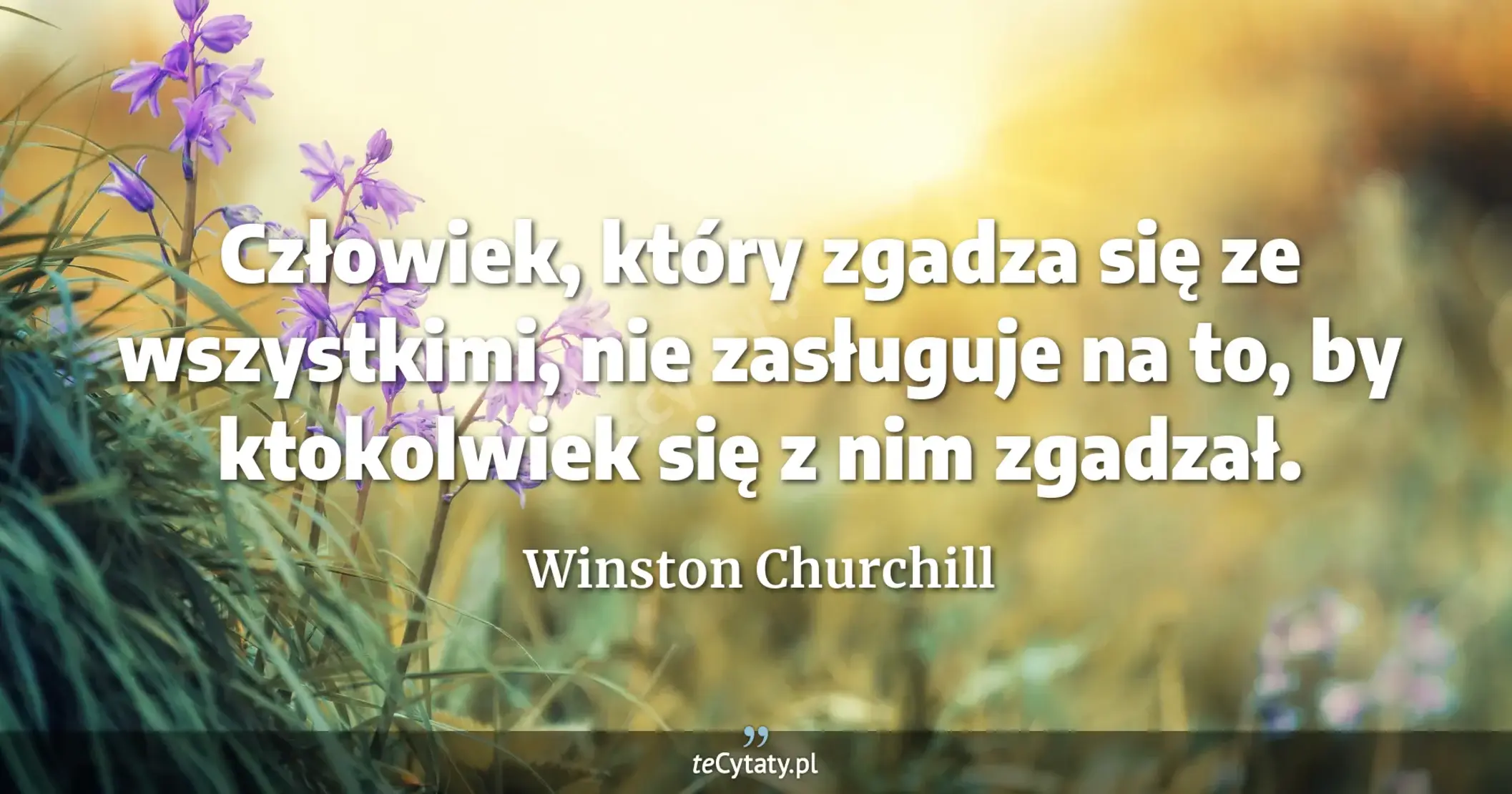 Człowiek, który zgadza się ze wszystkimi, nie zasługuje na to, by ktokolwiek się z nim zgadzał. - Winston Churchill