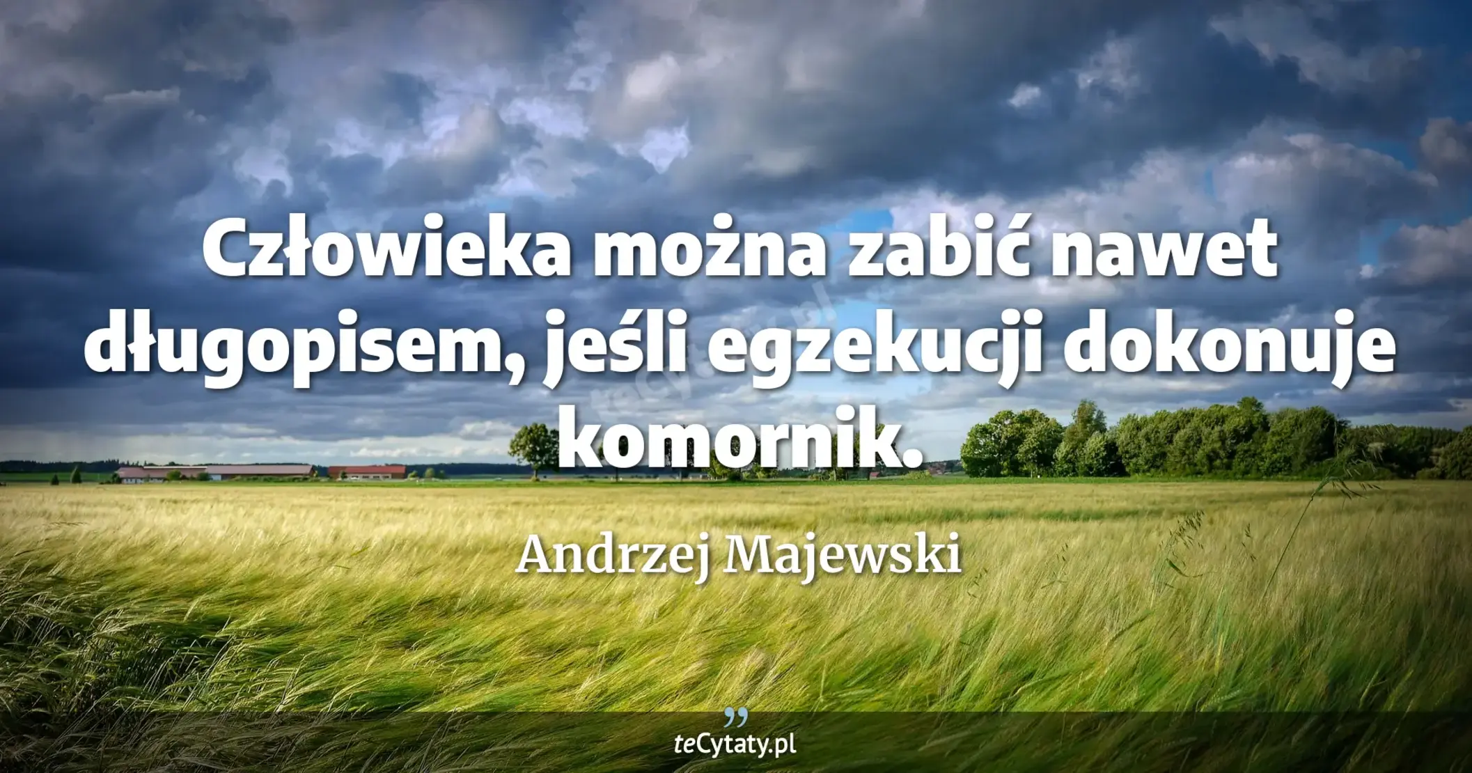Człowieka można zabić nawet długopisem, jeśli egzekucji dokonuje komornik. - Andrzej Majewski