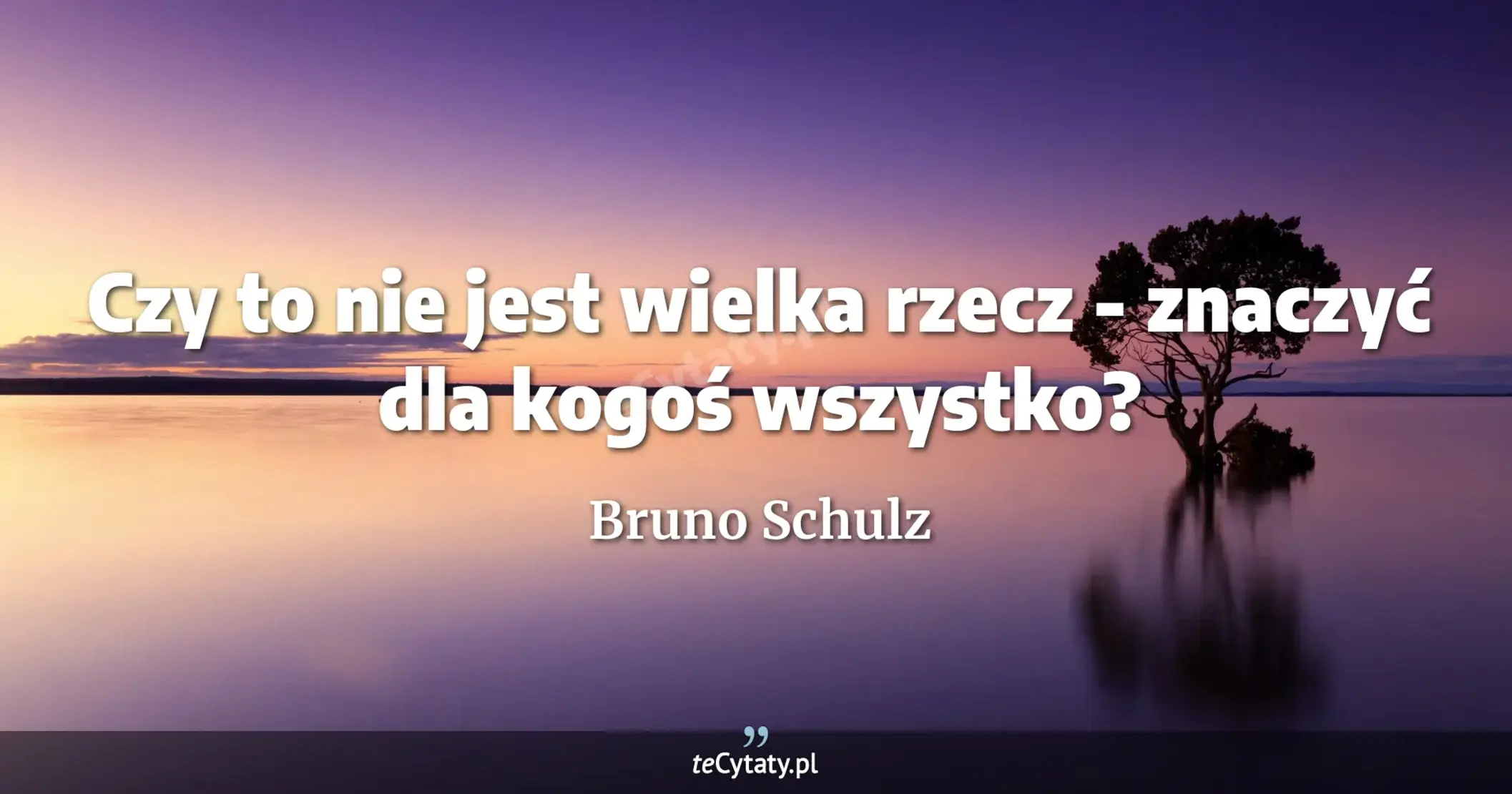 Czy to nie jest wielka rzecz - znaczyć dla kogoś wszystko? - Bruno Schulz
