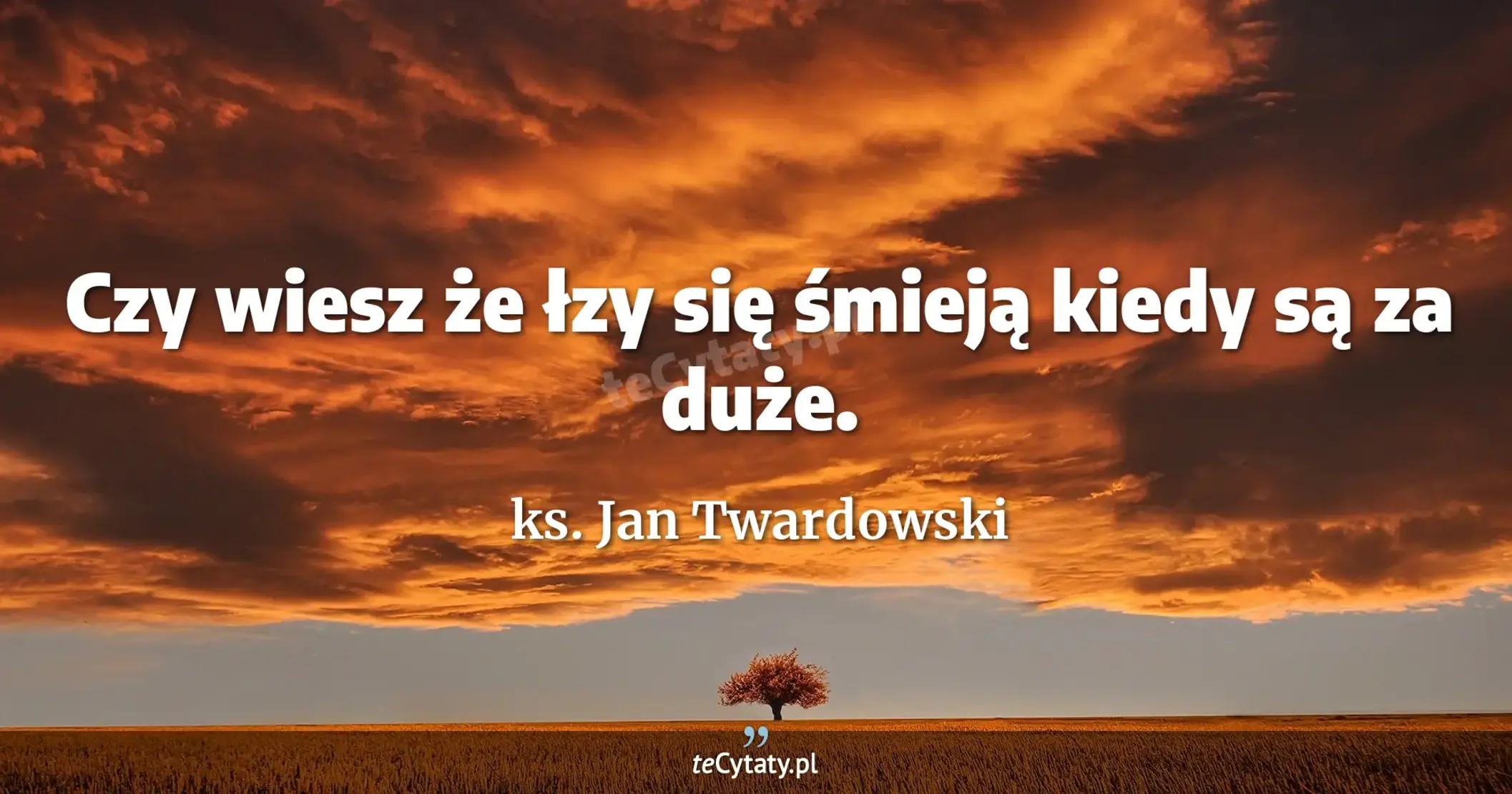 Czy wiesz że łzy się śmieją kiedy są za duże. - ks. Jan Twardowski