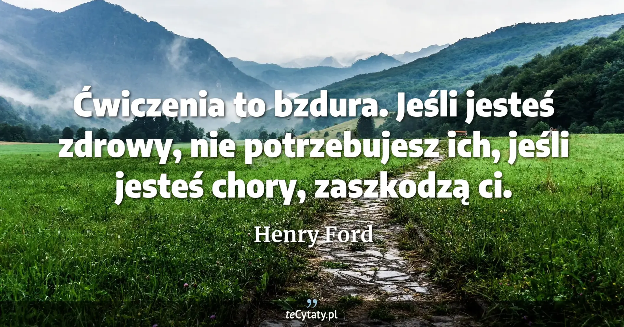 Ćwiczenia to bzdura. Jeśli jesteś zdrowy, nie potrzebujesz ich, jeśli jesteś chory, zaszkodzą ci. - Henry Ford