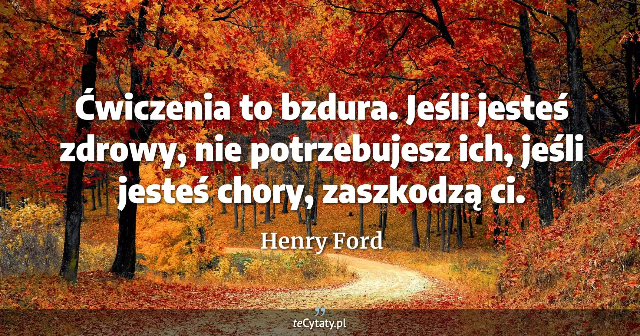 Ćwiczenia to bzdura. Jeśli jesteś zdrowy, nie potrzebujesz ich, jeśli jesteś chory, zaszkodzą ci. - Henry Ford