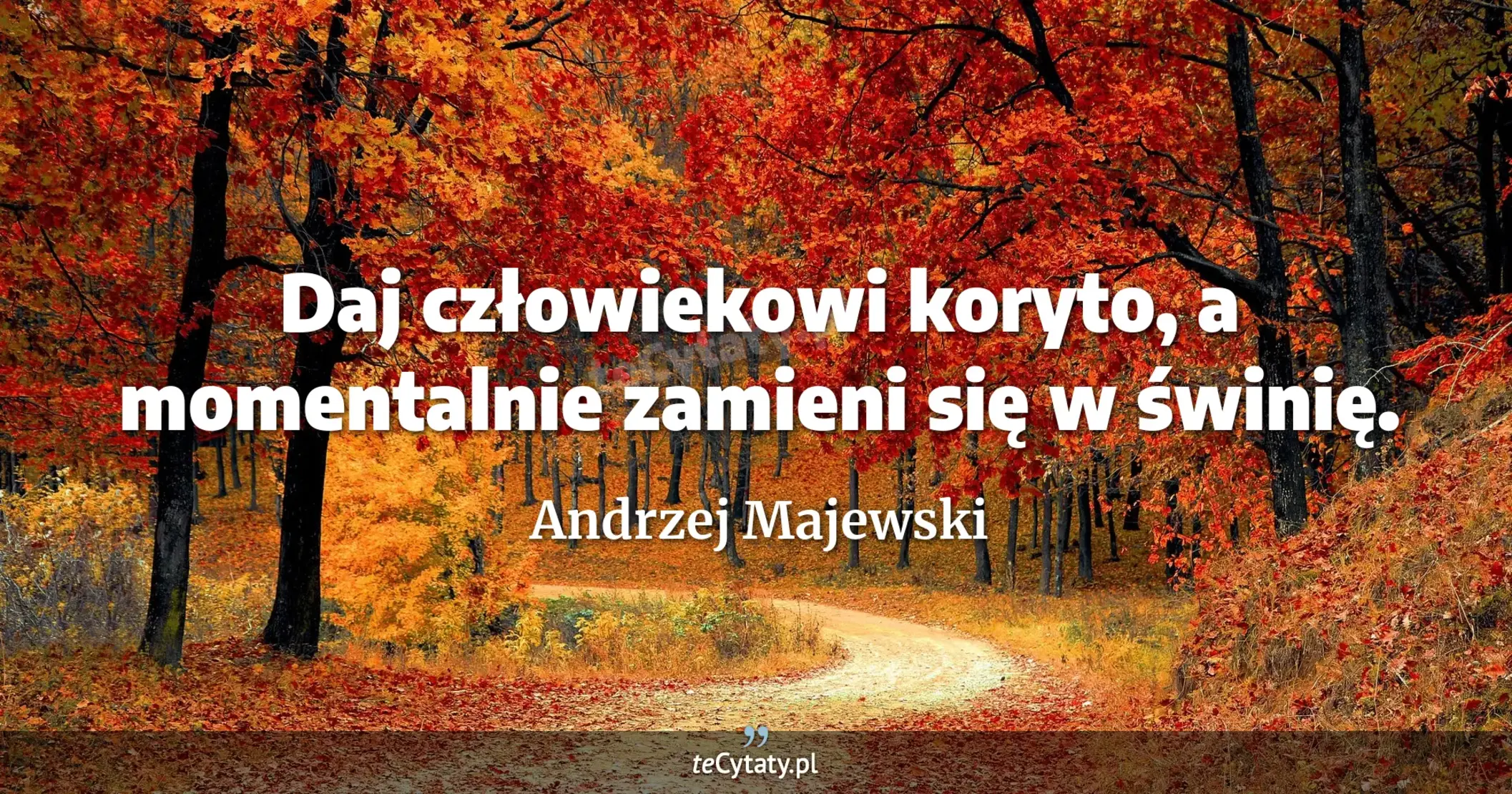 Daj człowiekowi koryto, a momentalnie zamieni się w świnię. - Andrzej Majewski
