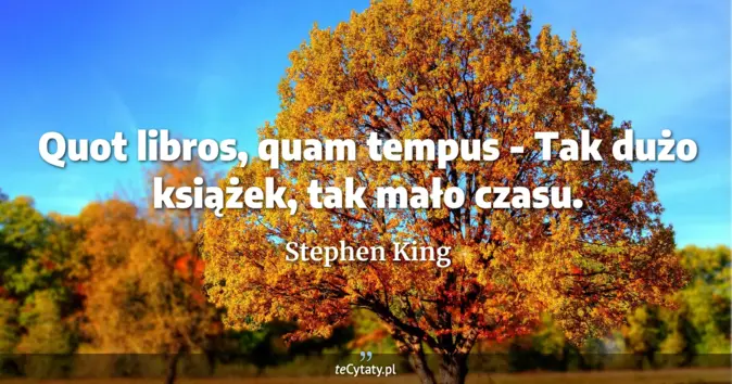 Cytat Stephen King: Quot libros, quam tempus - Tak dużo książek, tak mało czasu....