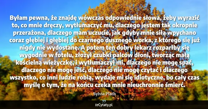 Cytat Sylvia Plath: Byłam pewna, że znajdę wówczas odpowiednie słowa, żeby wyrazić to, co ...