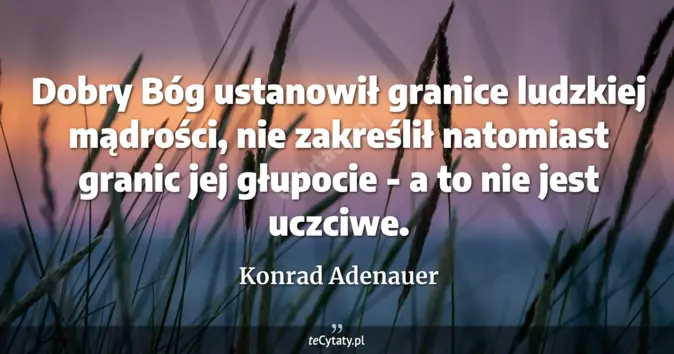 Konrad Adenauer - zobacz cytat