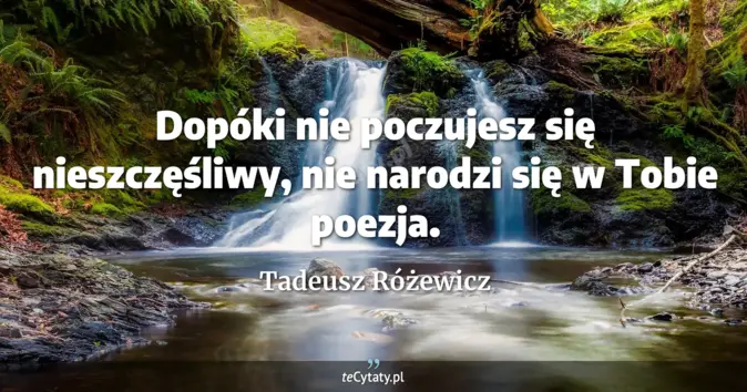 Tadeusz Różewicz - zobacz cytat