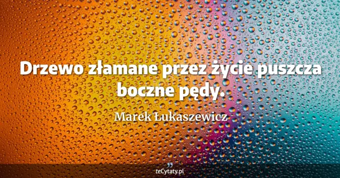 Marek Łukaszewicz - zobacz cytat