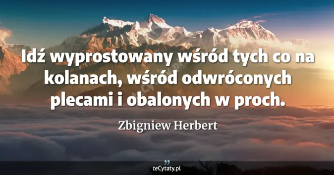 Zbigniew Herbert - zobacz cytat