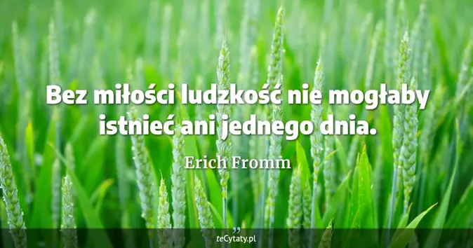 Erich Fromm - zobacz cytat