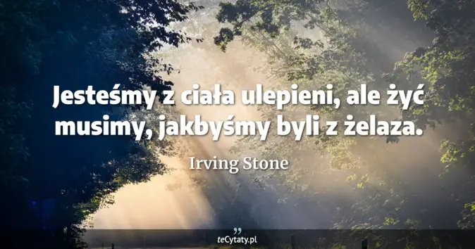 Irving Stone - zobacz cytat