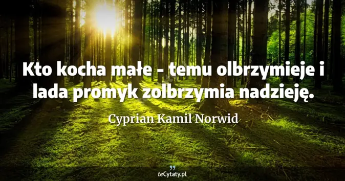 Cyprian Kamil Norwid - zobacz cytat