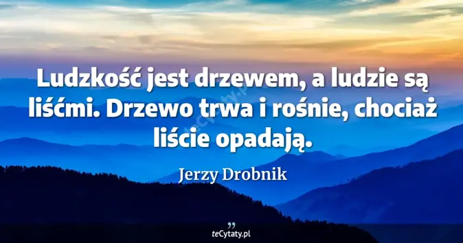 Jerzy Drobnik - zobacz cytat
